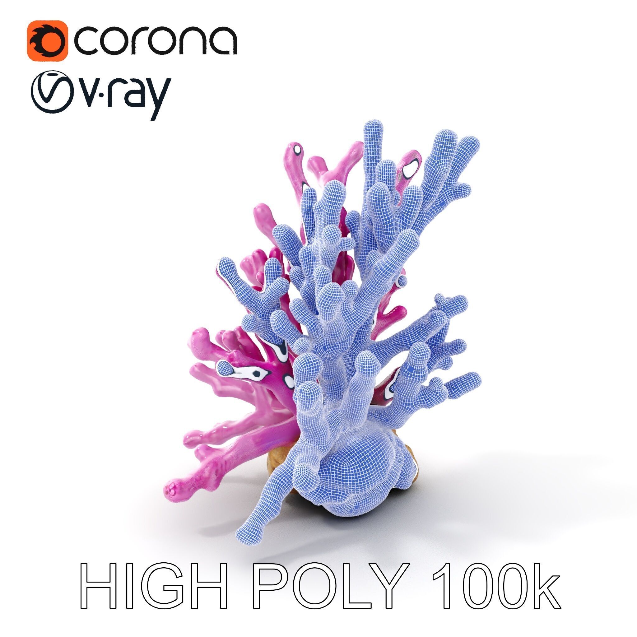 Vibrant Coral Reef Model Pack Low-poly 3D model_4