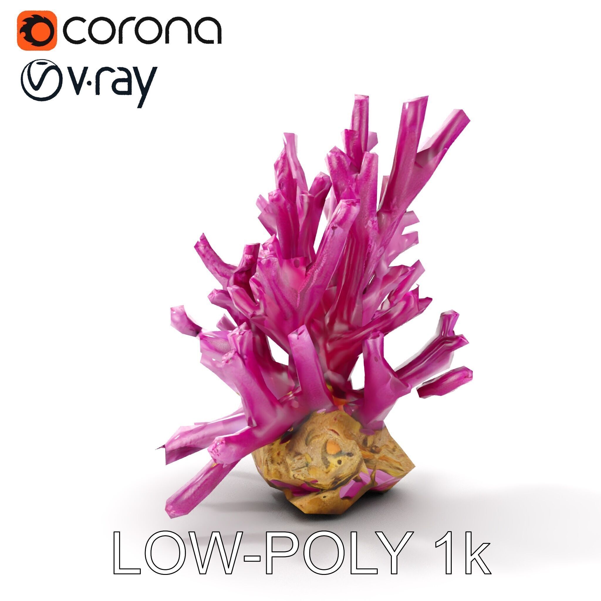 Vibrant Coral Reef Model Pack Low-poly 3D model_11