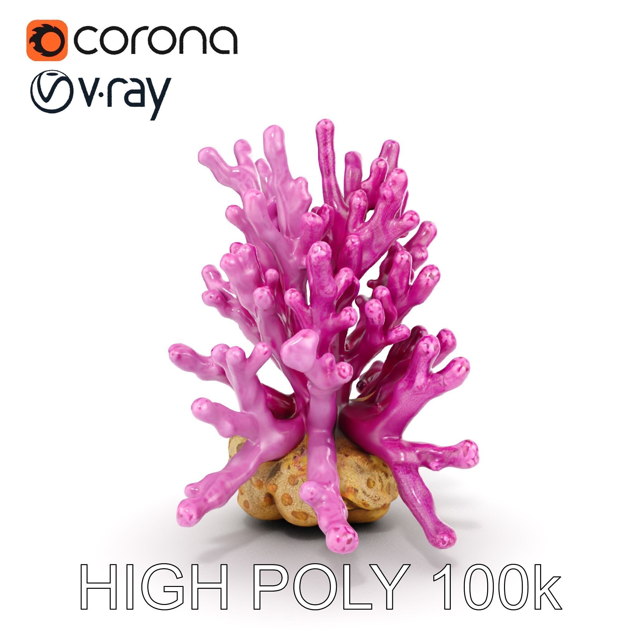 Vibrant Coral Reef Model Pack Low-poly 3D model_18
