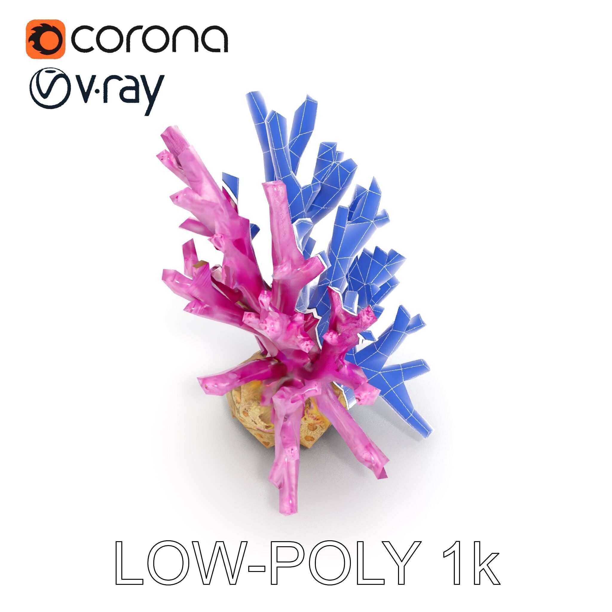 Vibrant Coral Reef Model Pack Low-poly 3D model_7