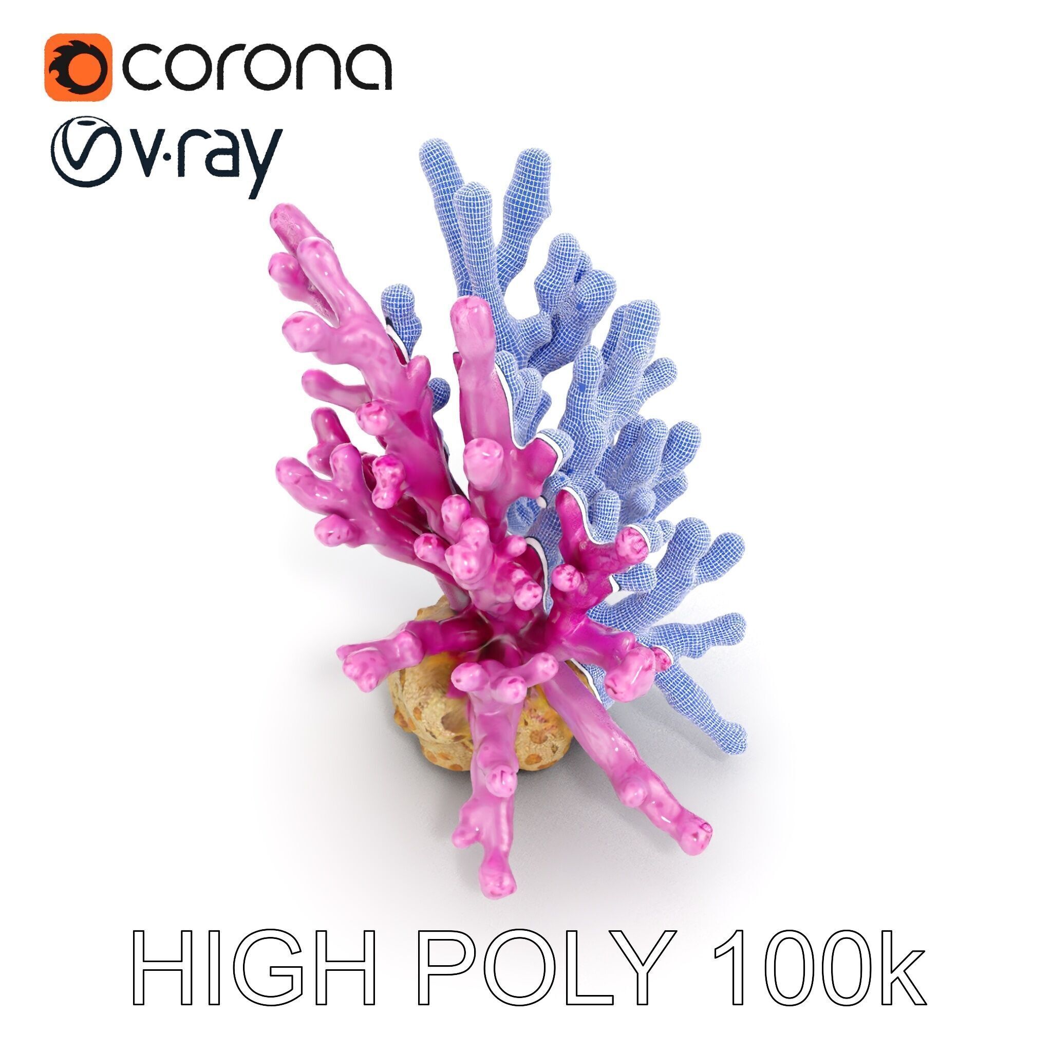 Vibrant Coral Reef Model Pack Low-poly 3D model_27