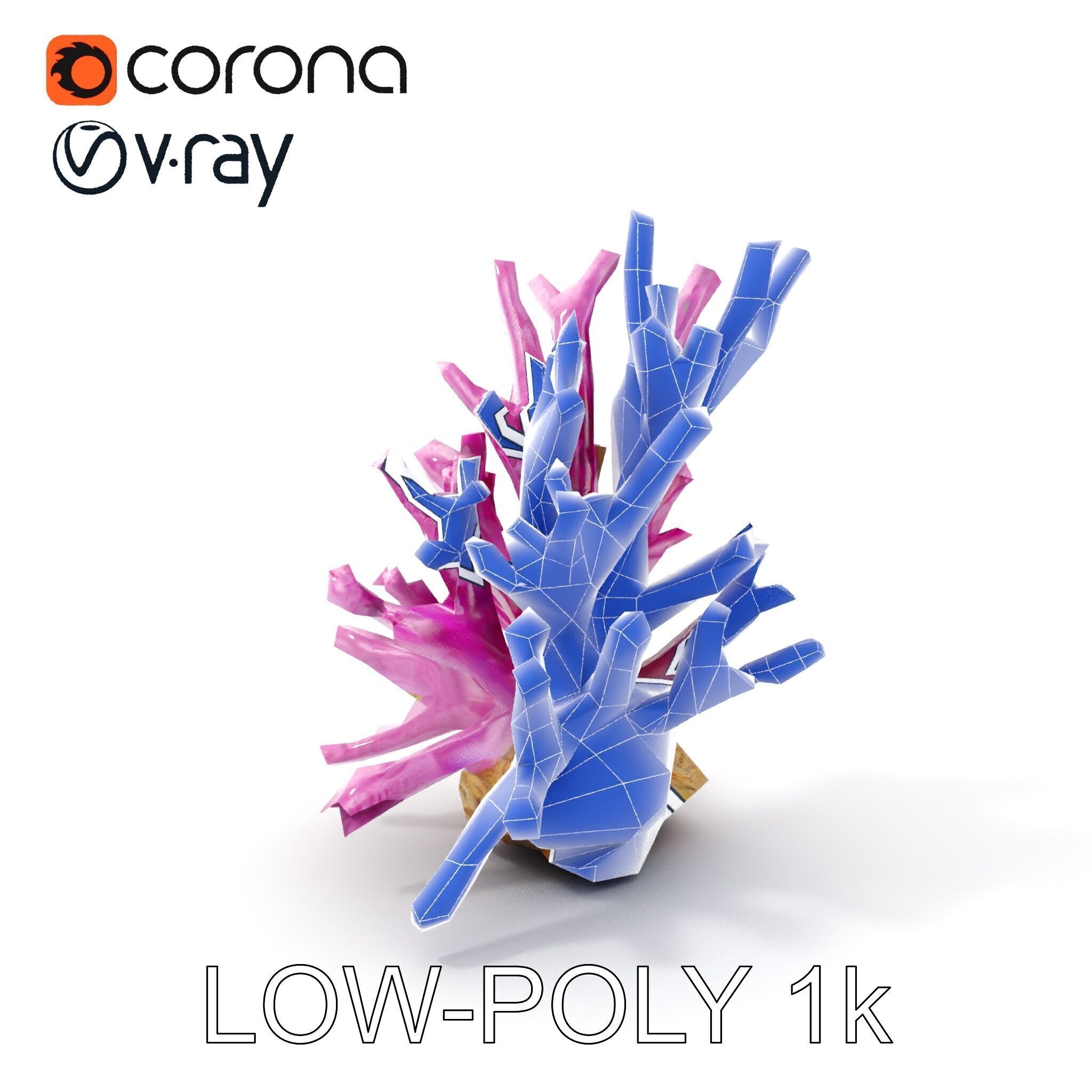 Vibrant Coral Reef Model Pack Low-poly 3D model_17