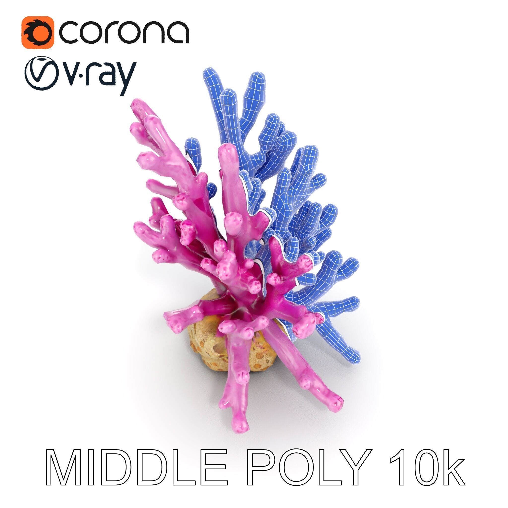 Vibrant Coral Reef Model Pack Low-poly 3D model_30