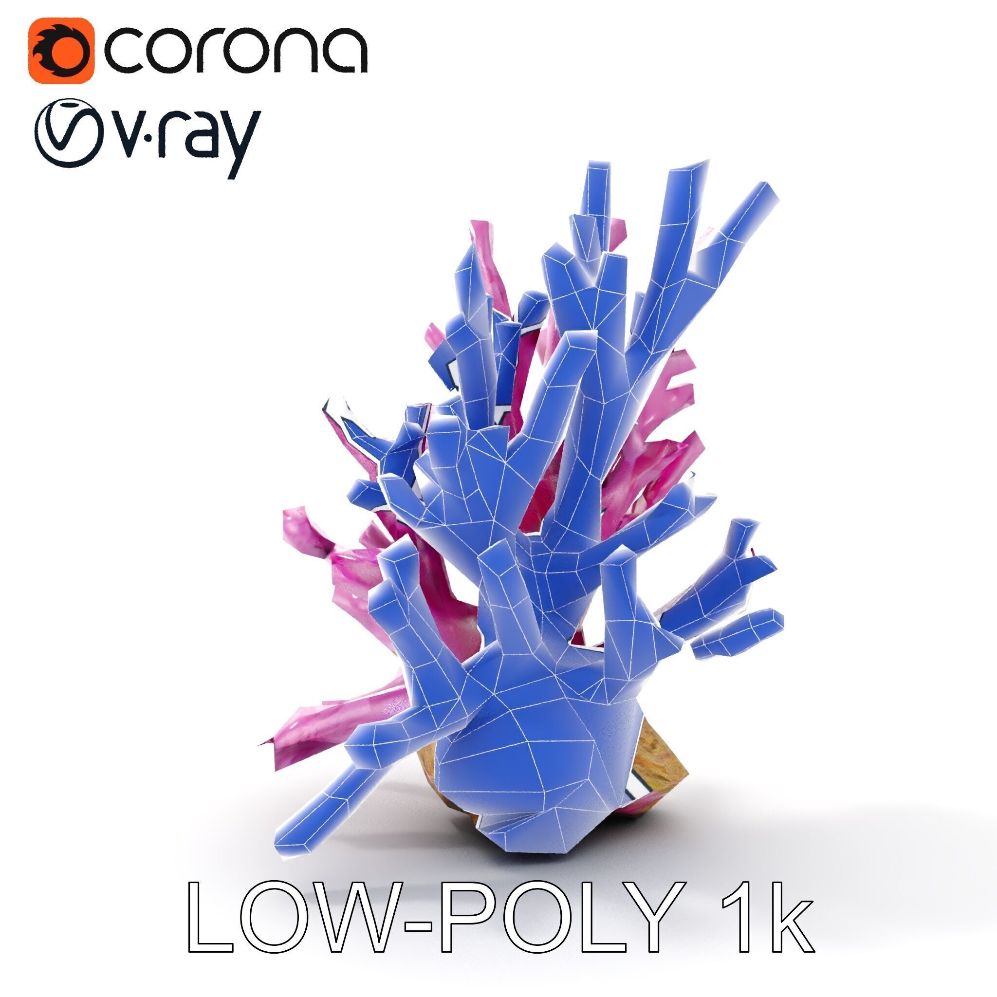 Vibrant Coral Reef Model Pack Low-poly 3D model_26