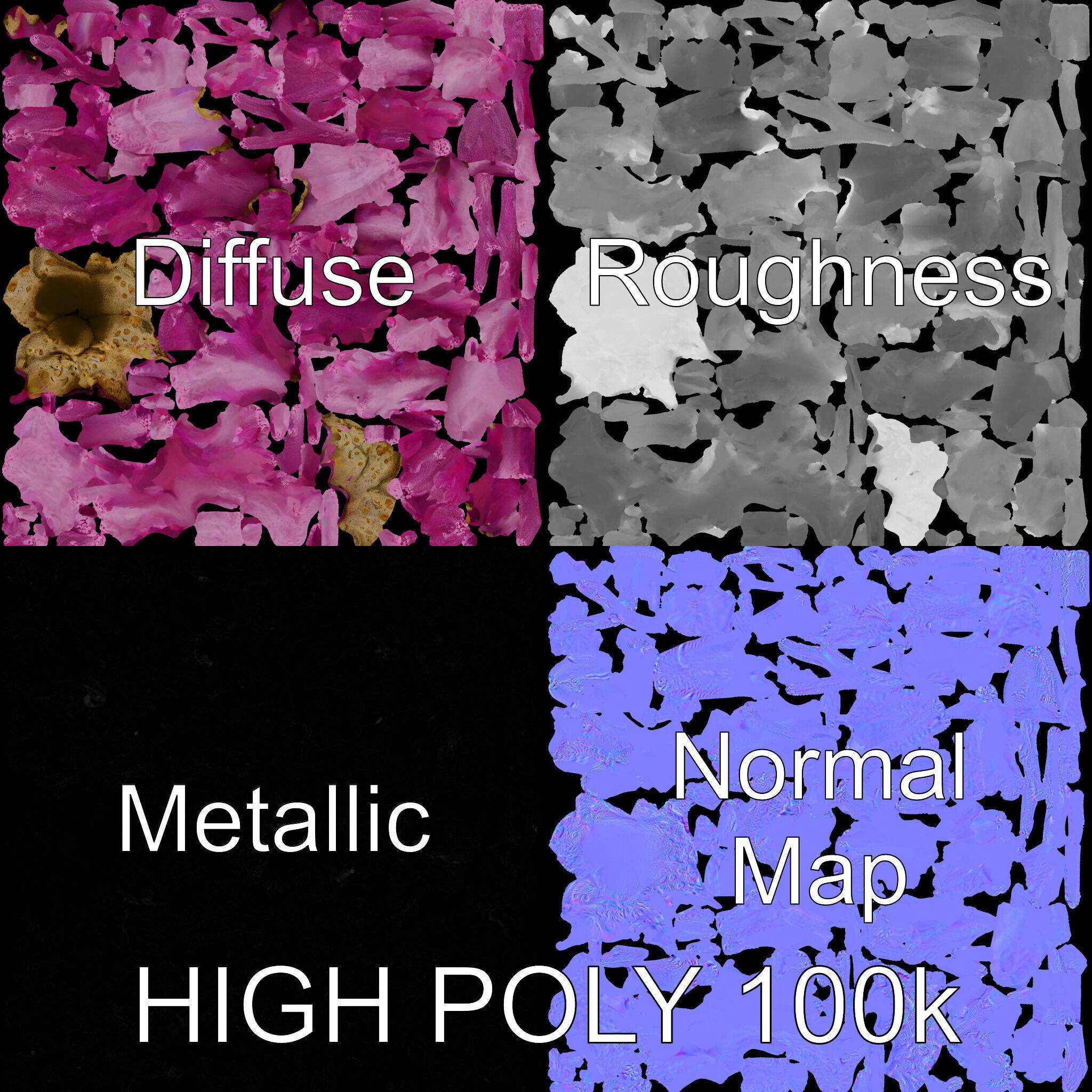 Vibrant Coral Reef Model Pack Low-poly 3D model_3