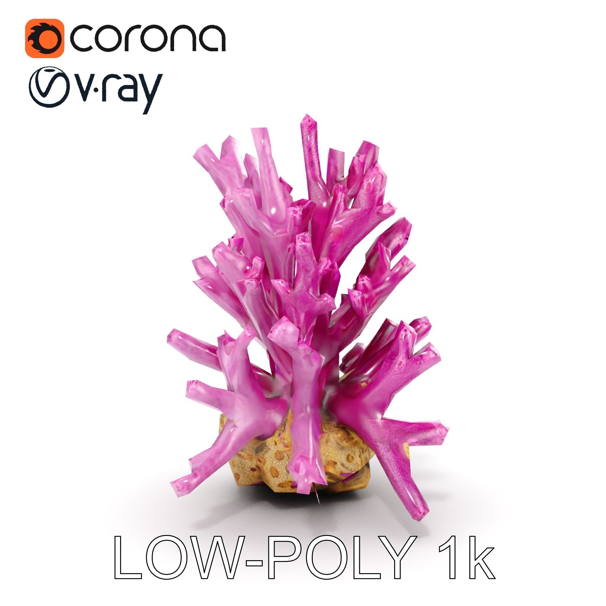 Vibrant Coral Reef Model Pack Low-poly 3D model_20