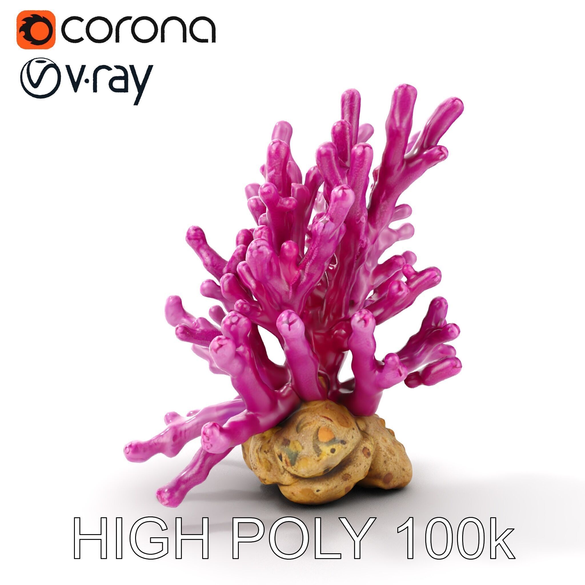 Vibrant Coral Reef Model Pack Low-poly 3D model_15