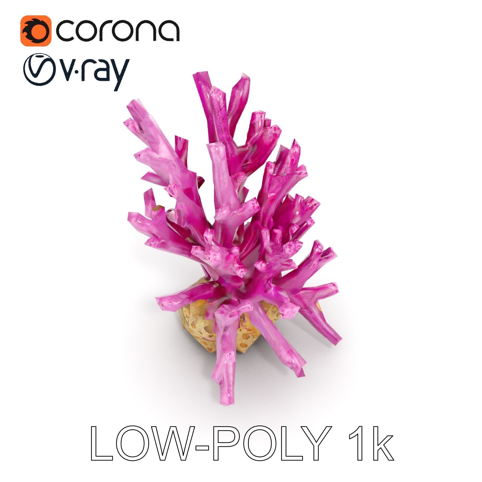 Vibrant Coral Reef Model Pack Low-poly 3D model_23