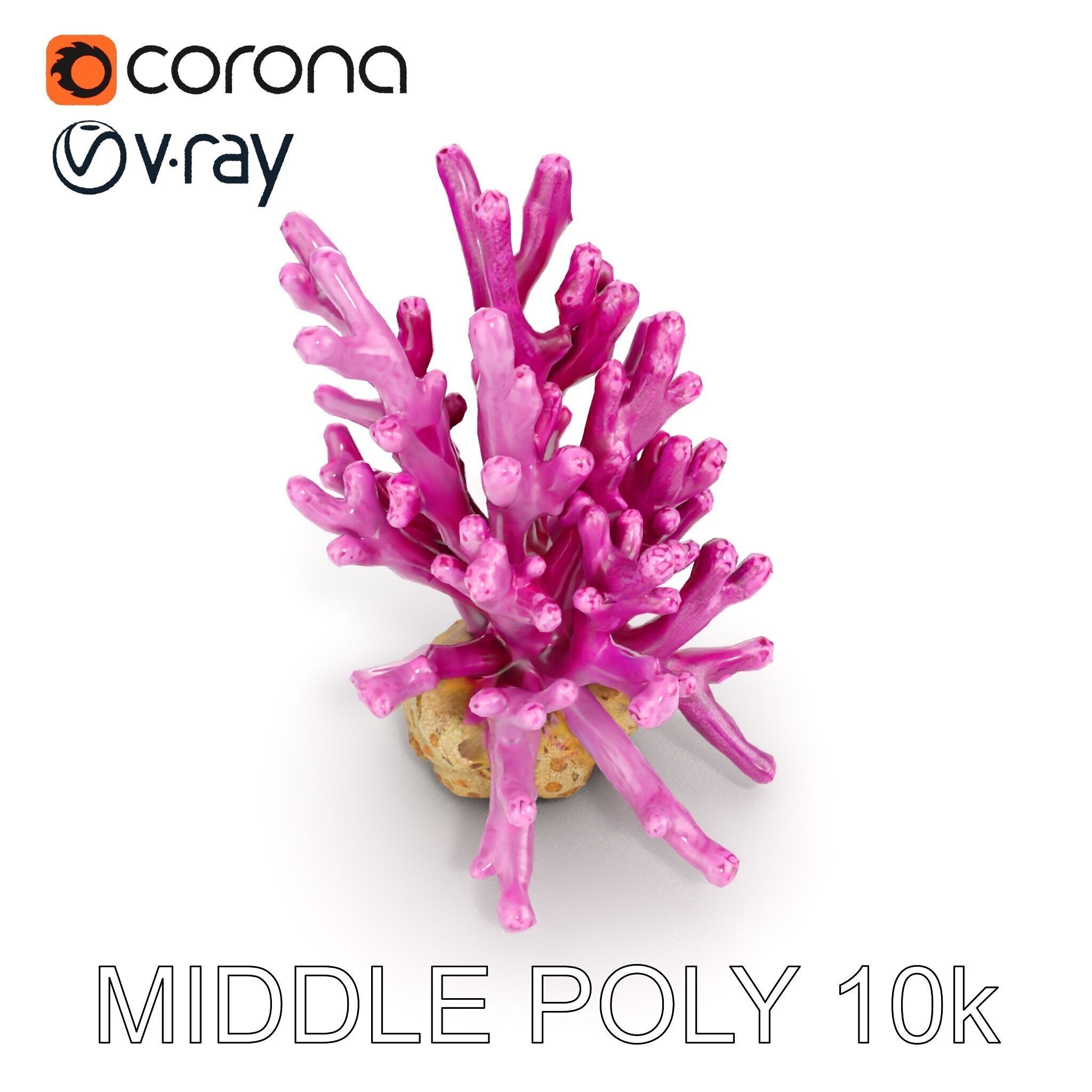 Vibrant Coral Reef Model Pack Low-poly 3D model_16