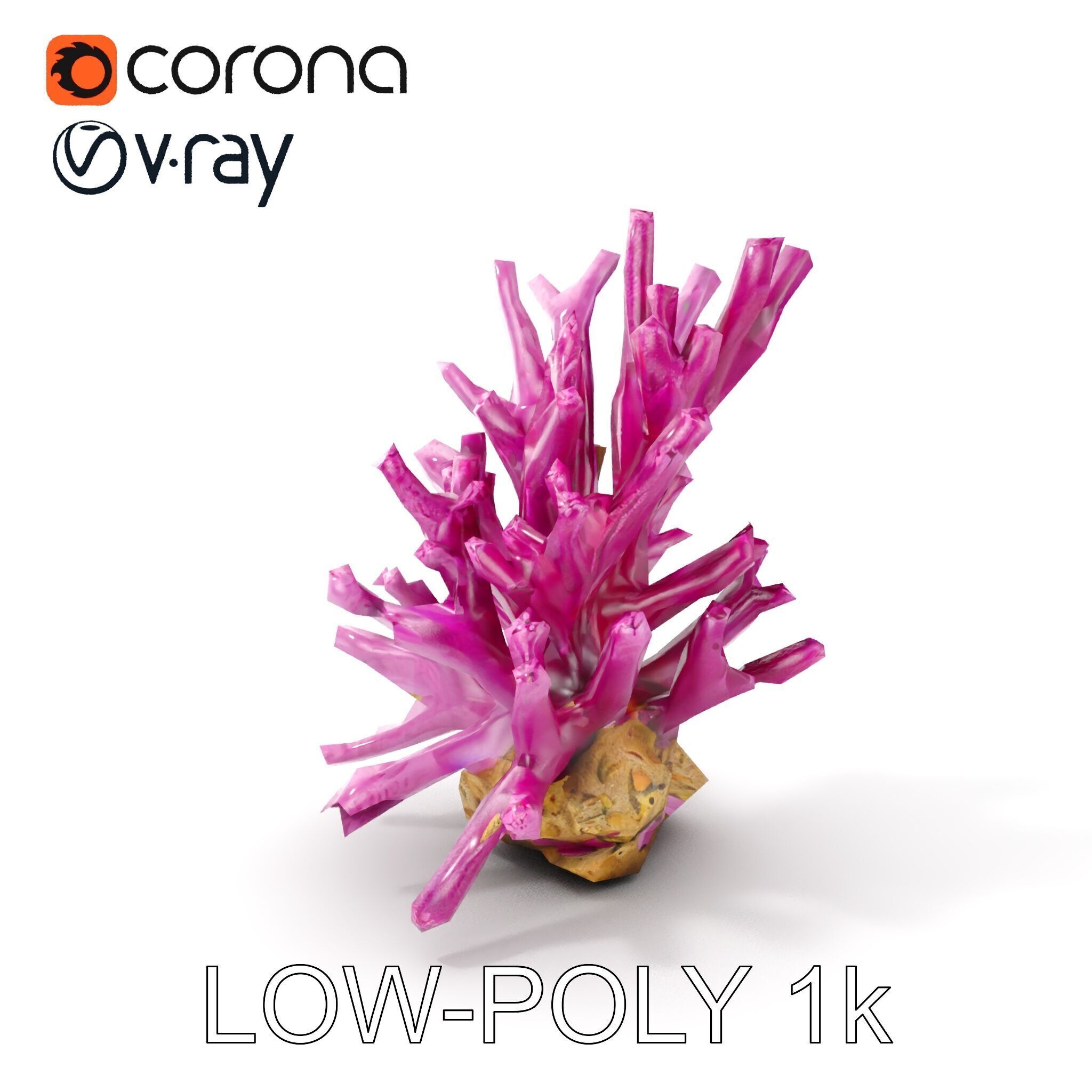 Vibrant Coral Reef Model Pack Low-poly 3D model_9