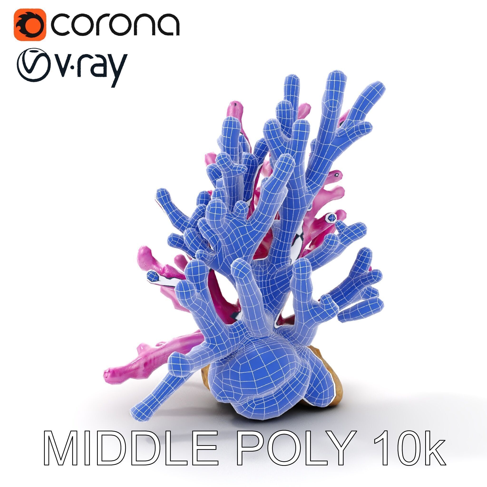 Vibrant Coral Reef Model Pack Low-poly 3D model_28