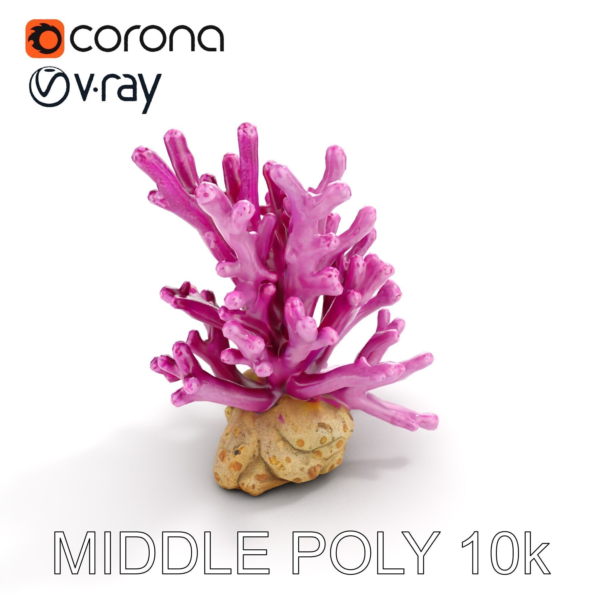 Vibrant Coral Reef Model Pack Low-poly 3D model_19