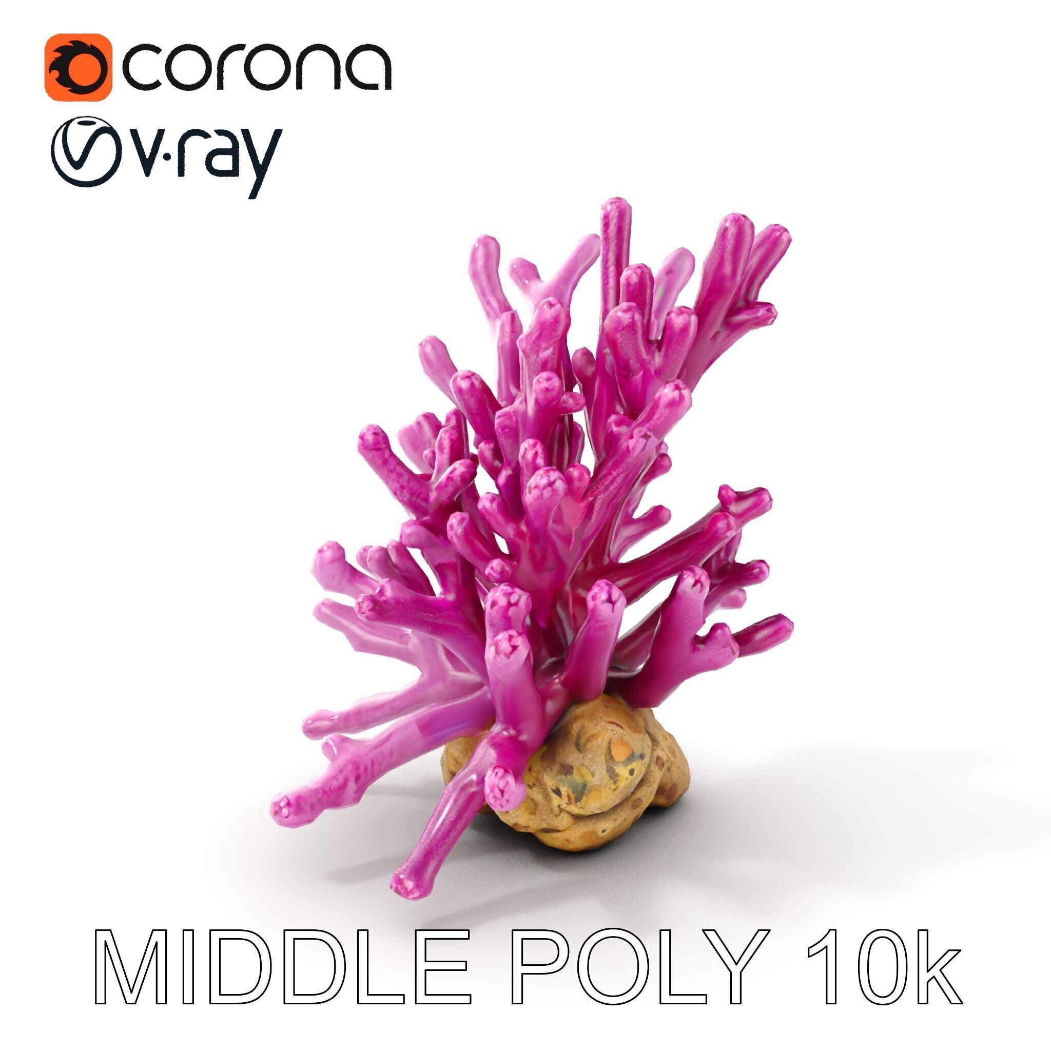 Vibrant Coral Reef Model Pack Low-poly 3D model_6