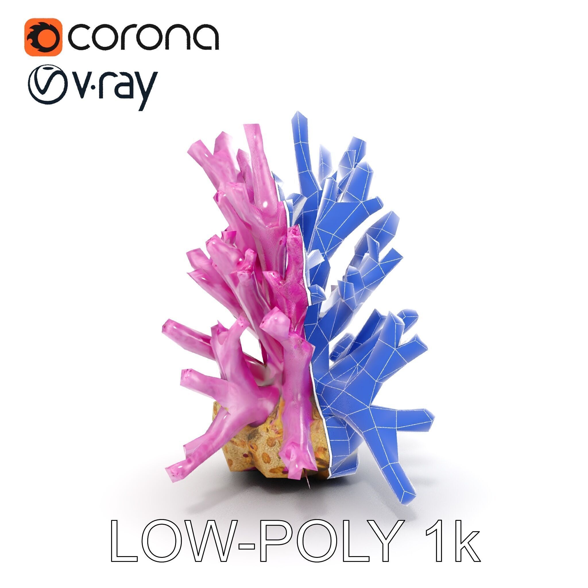 Vibrant Coral Reef Model Pack Low-poly 3D model_31