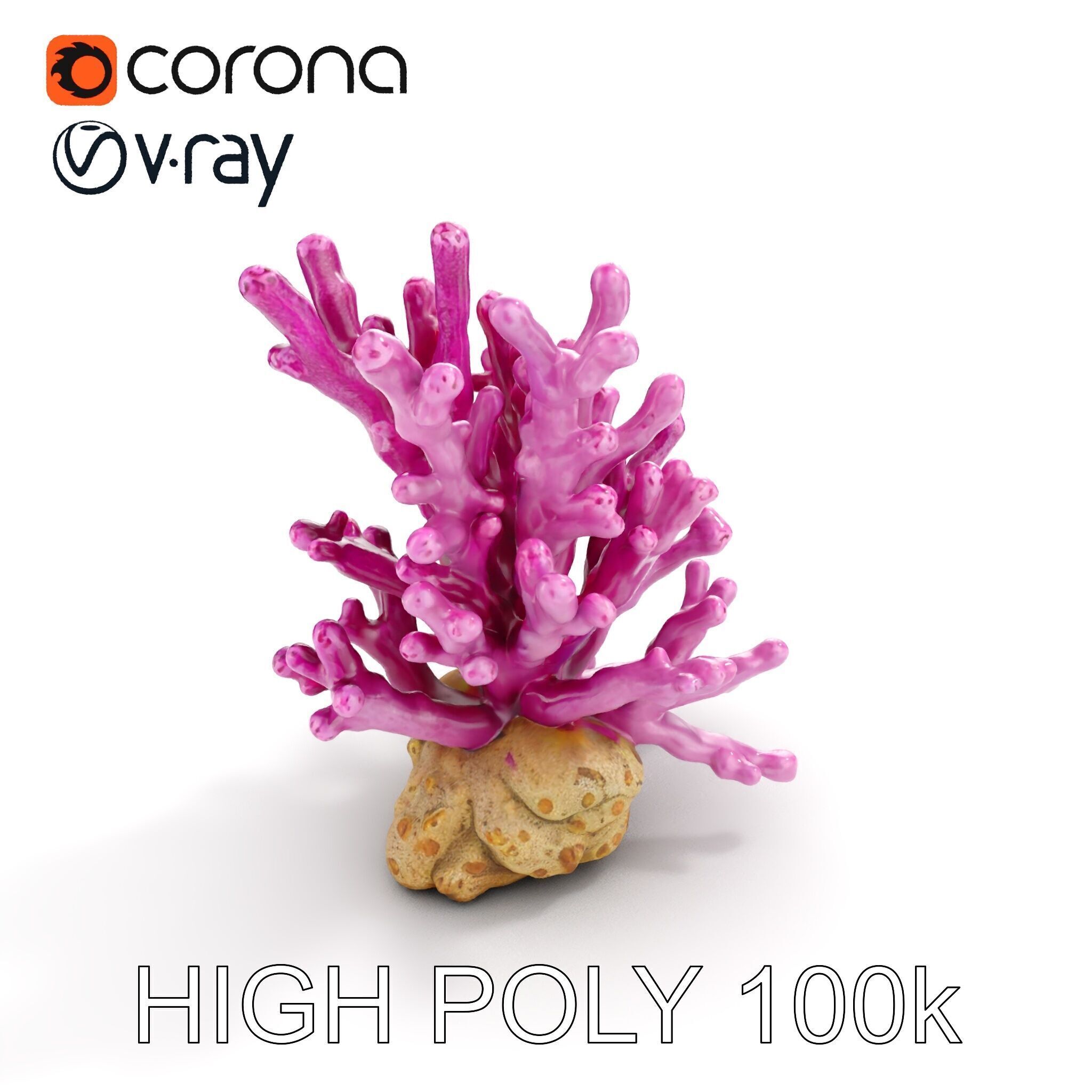 Vibrant Coral Reef Model Pack Low-poly 3D model_24