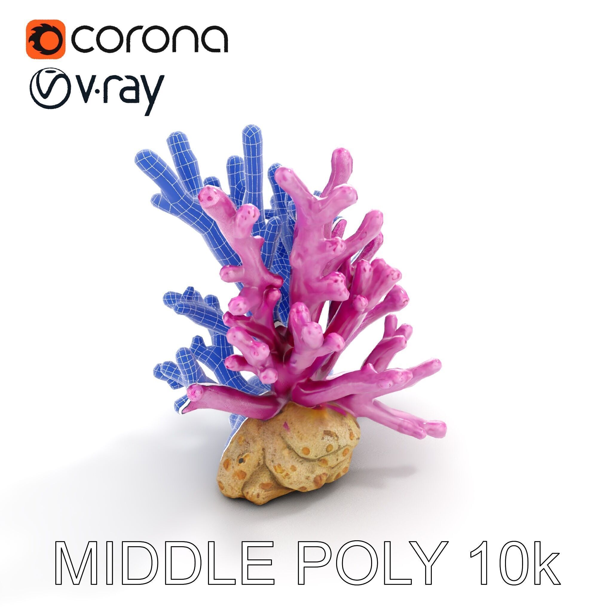 Vibrant Coral Reef Model Pack Low-poly 3D model_13