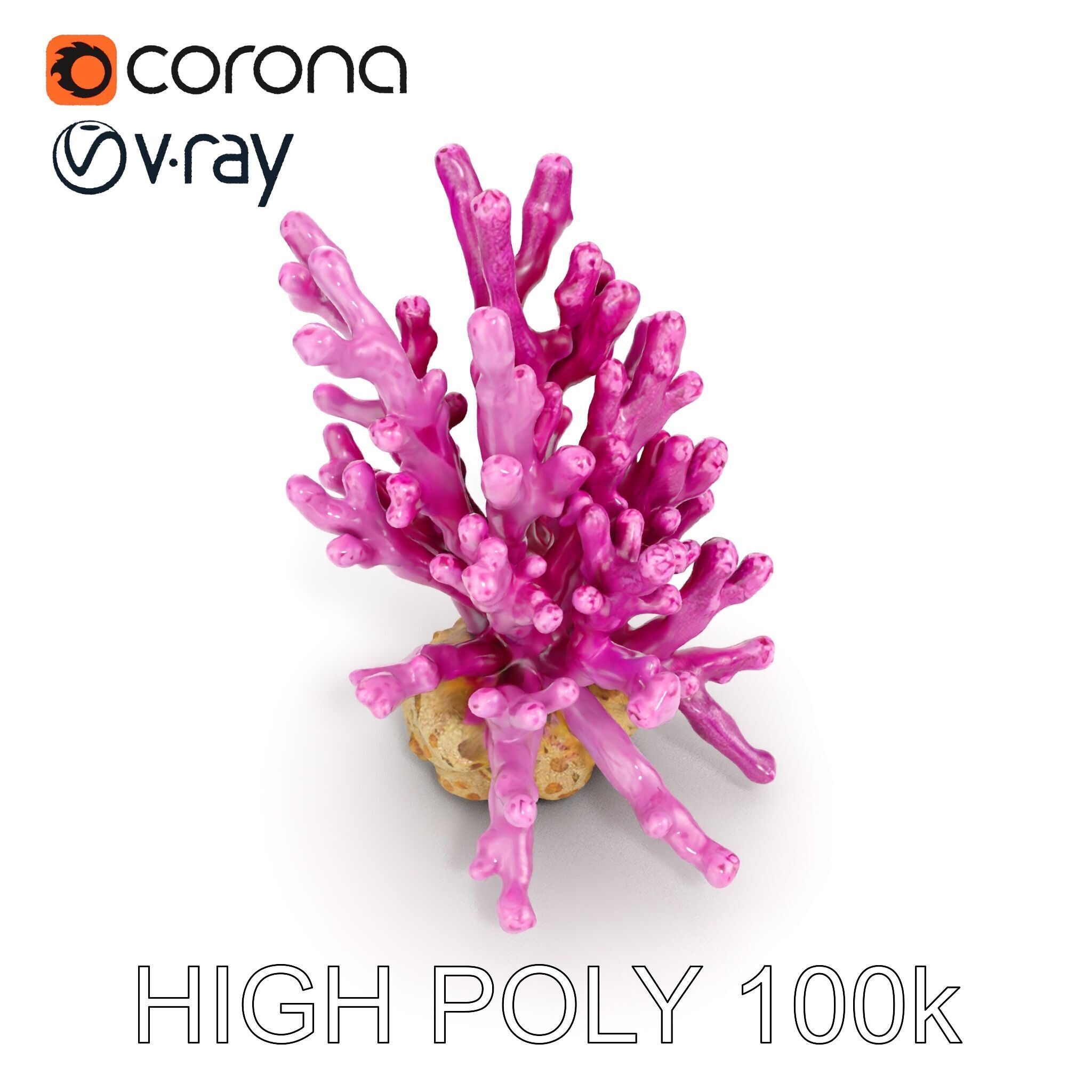 Vibrant Coral Reef Model Pack Low-poly 3D model_12