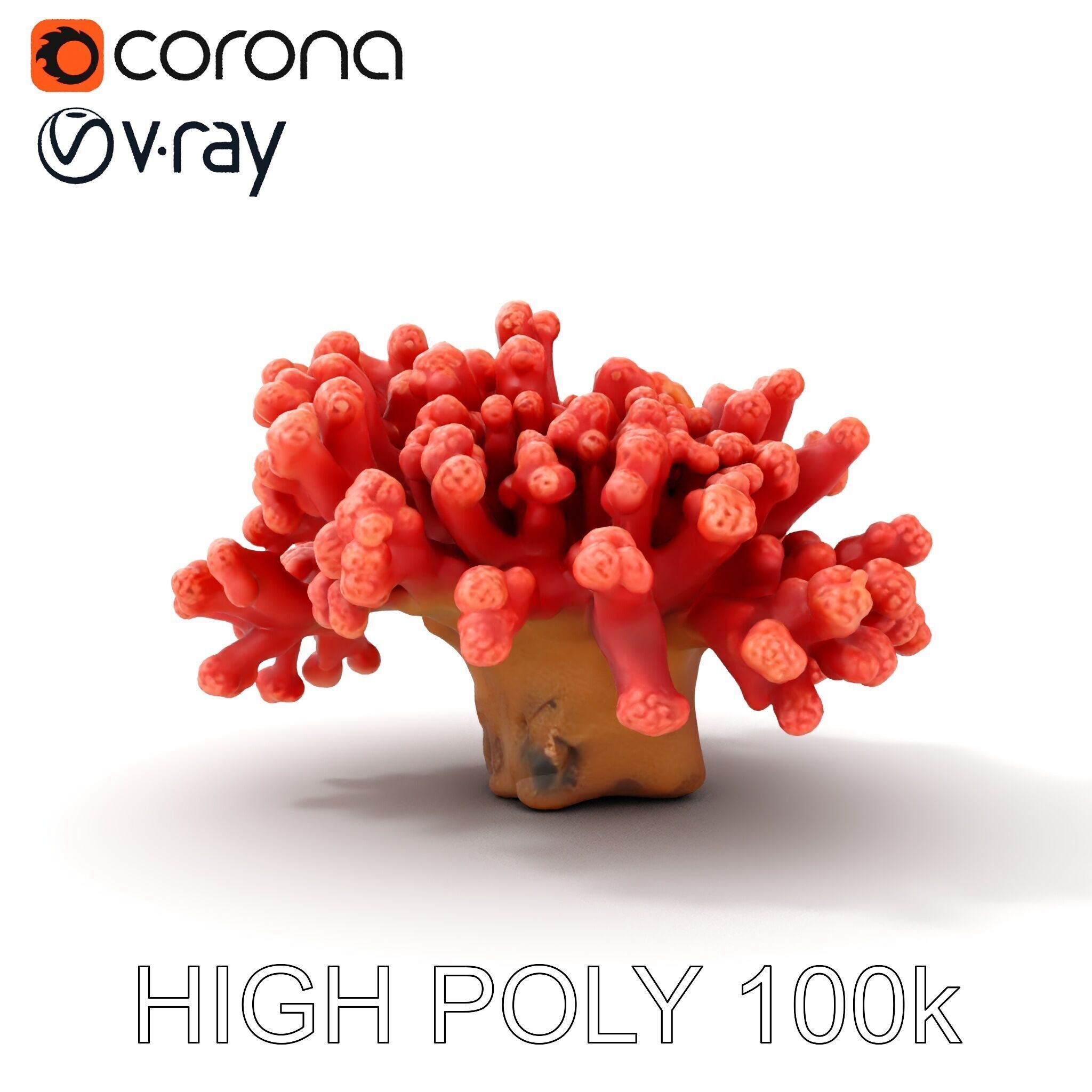 Coral Reef Model Pack with Detailed Textures for D Environments Low-poly 3D model_21