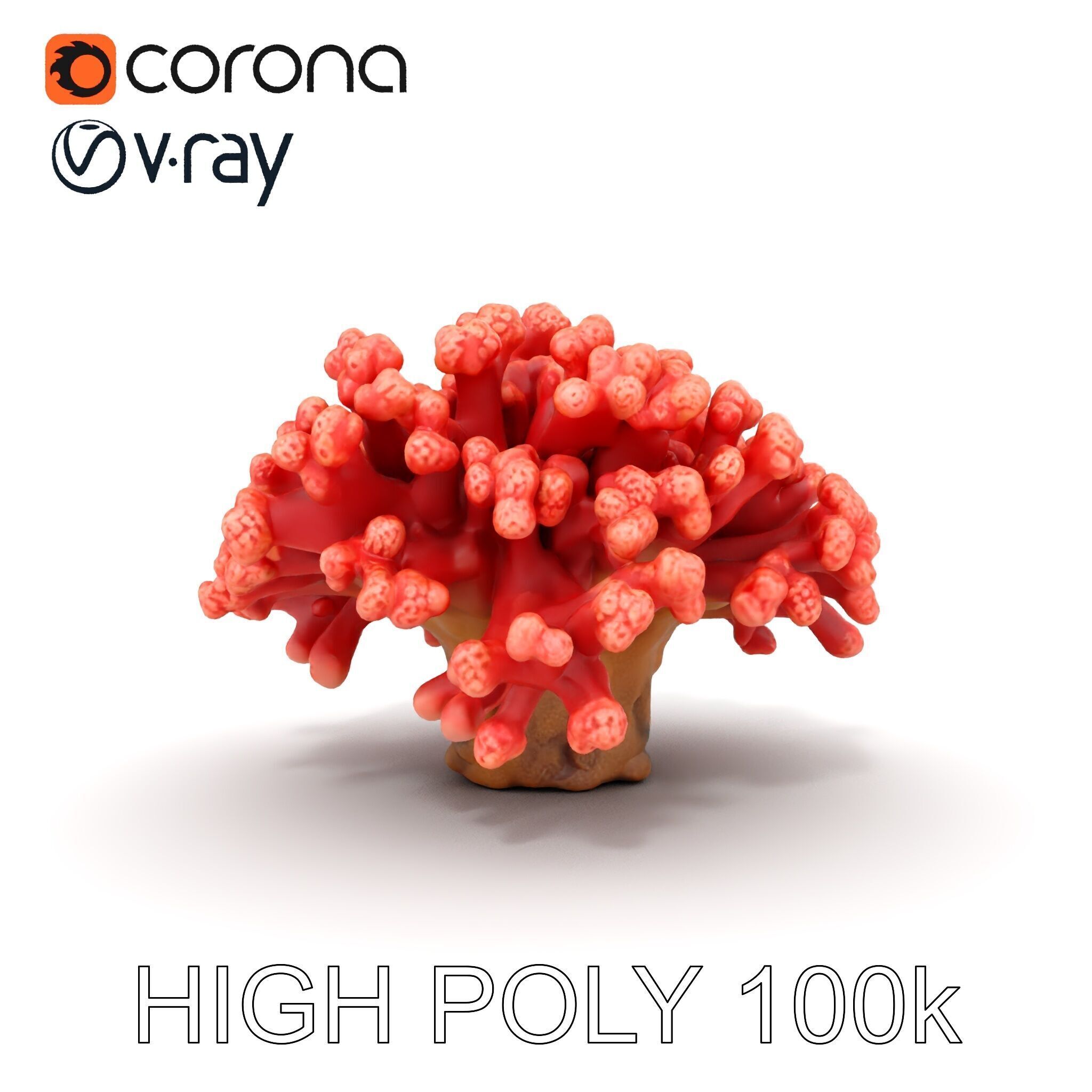 Coral Reef Model Pack with Detailed Textures for D Environments Low-poly 3D model_16