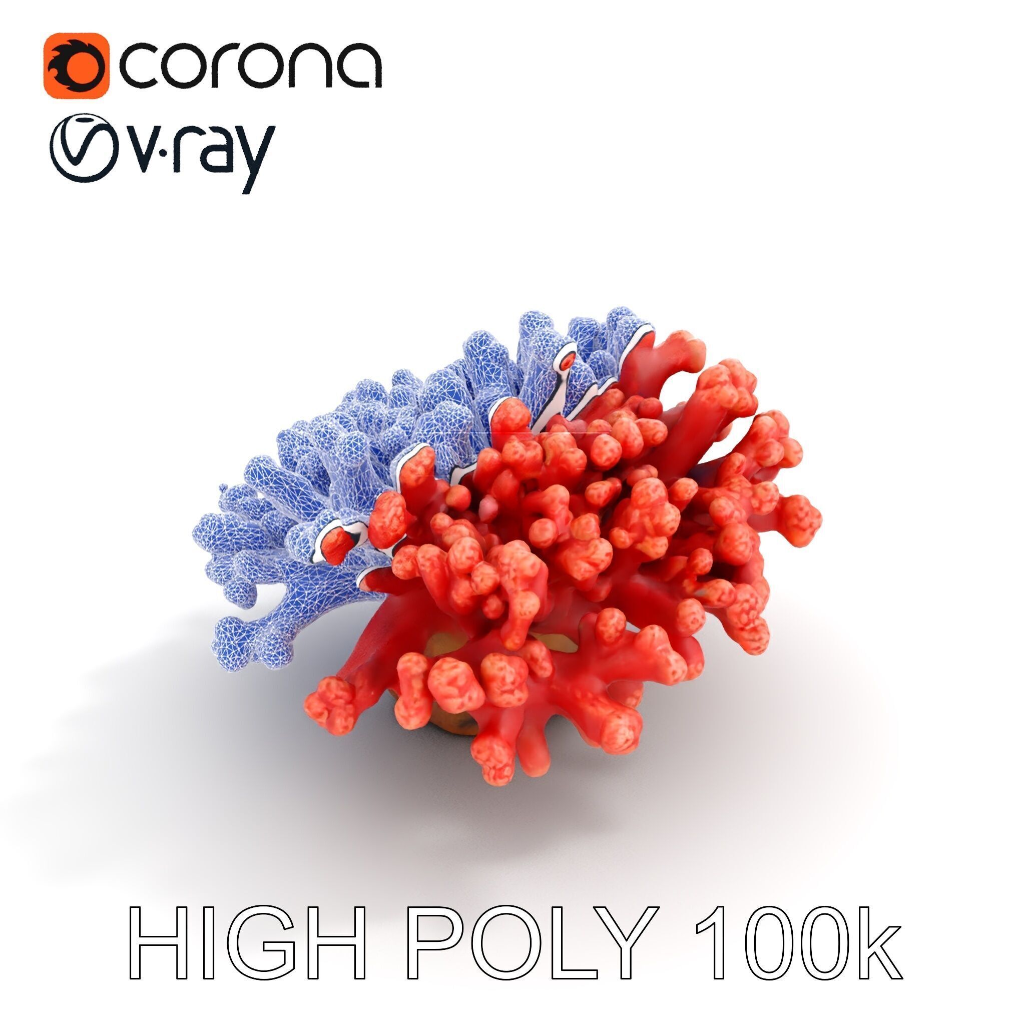 Coral Reef Model Pack with Detailed Textures for D Environments Low-poly 3D model_26