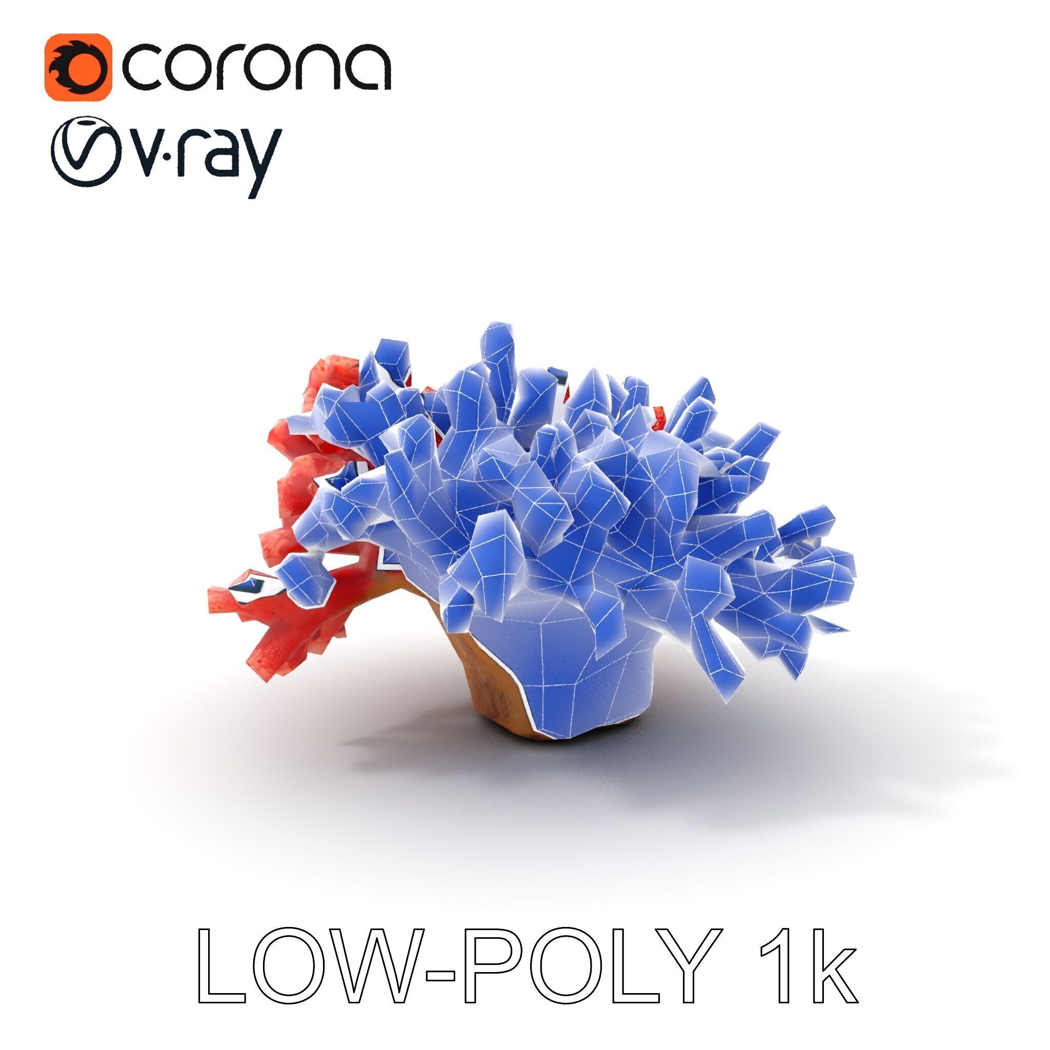 Coral Reef Model Pack with Detailed Textures for D Environments Low-poly 3D model_15