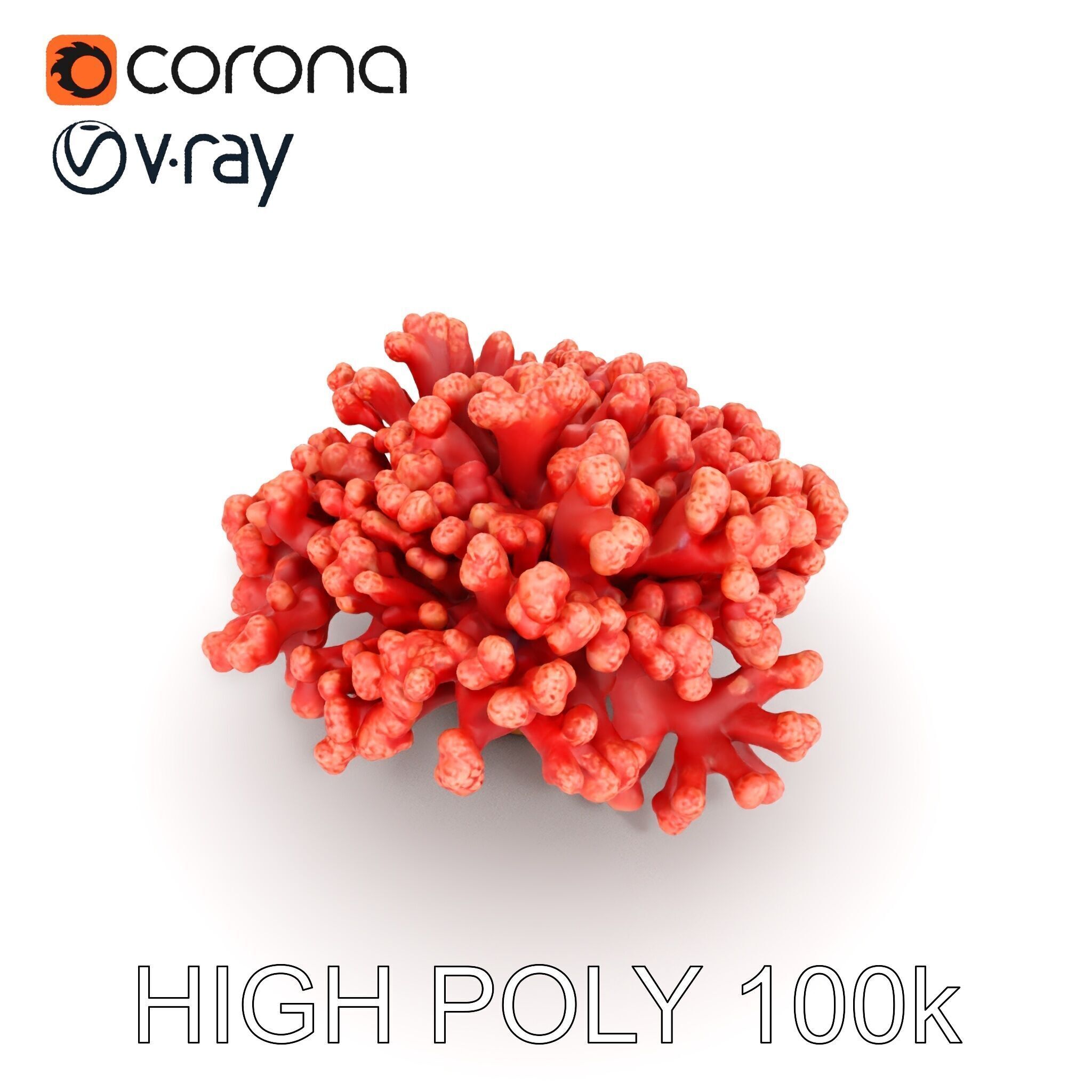 Coral Reef Model Pack with Detailed Textures for D Environments Low-poly 3D model_14