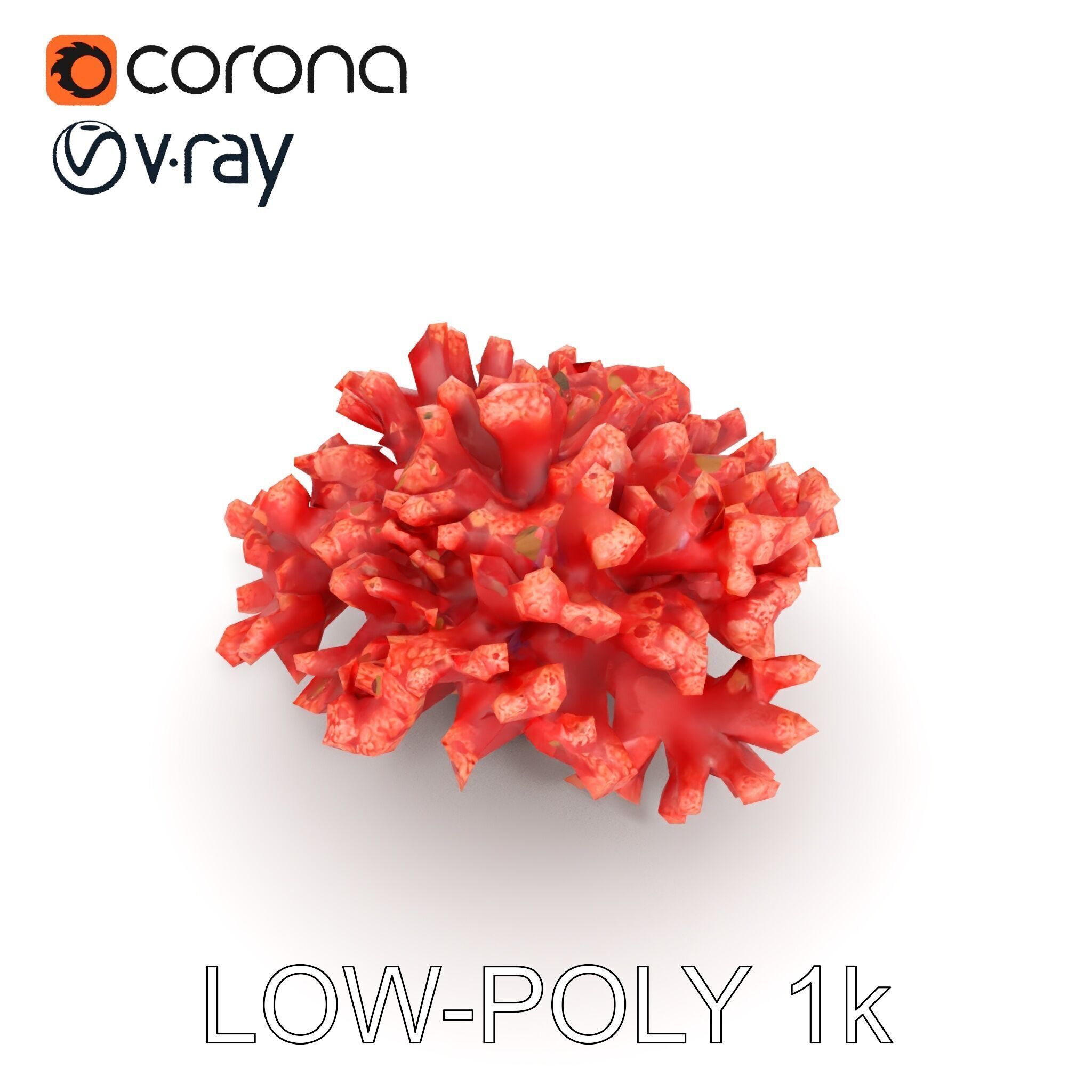 Coral Reef Model Pack with Detailed Textures for D Environments Low-poly 3D model_9