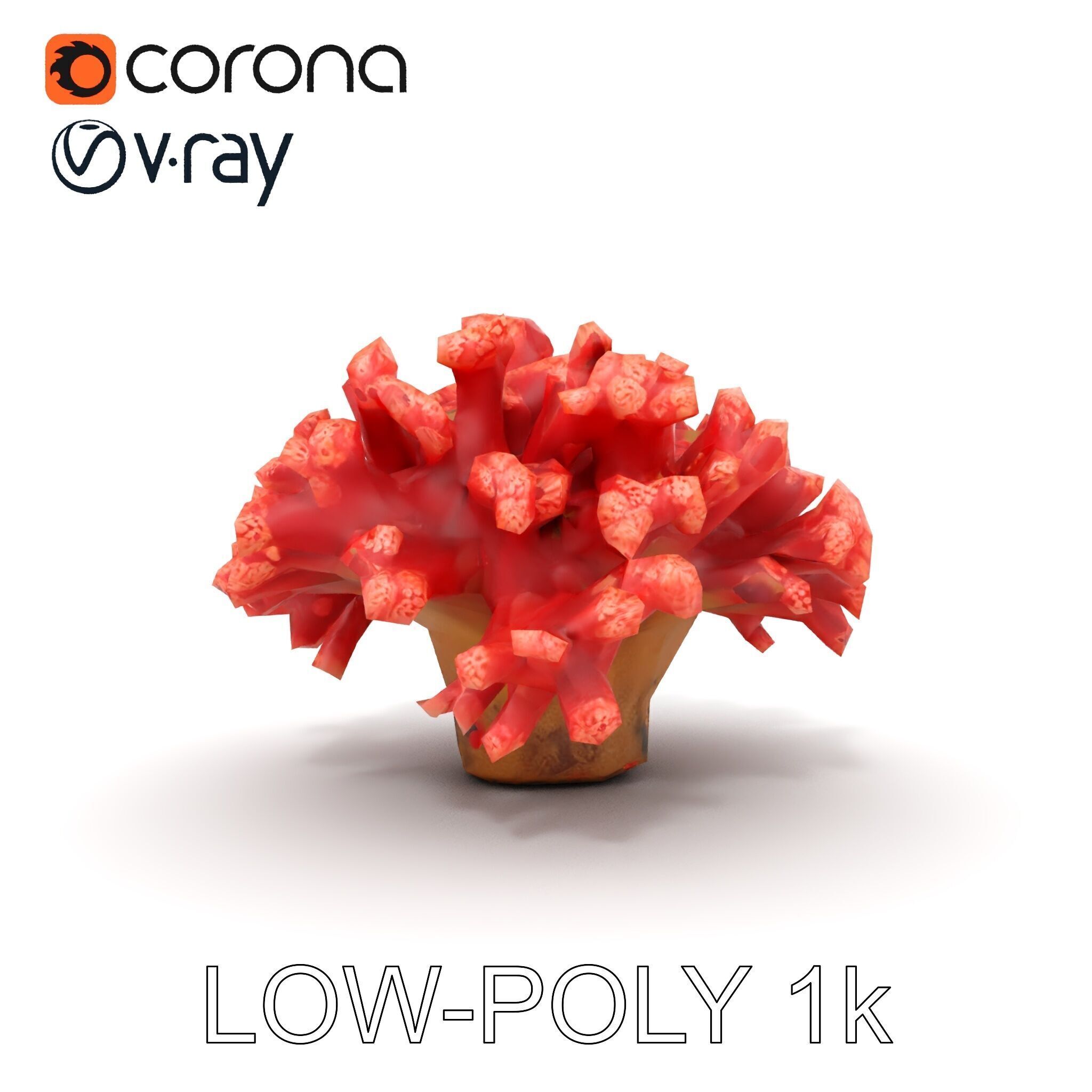 Coral Reef Model Pack with Detailed Textures for D Environments Low-poly 3D model_28