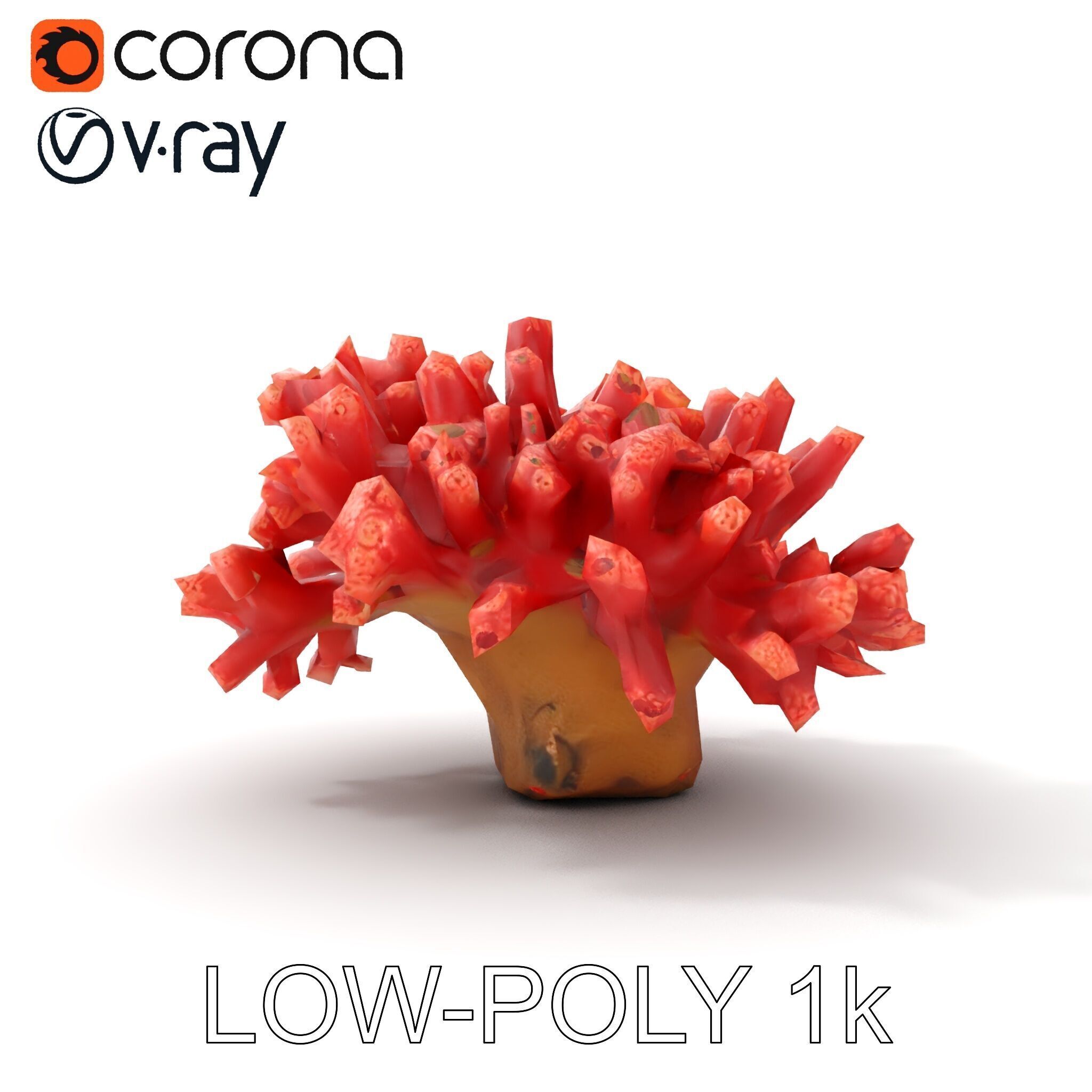 Coral Reef Model Pack with Detailed Textures for D Environments Low-poly 3D model_20