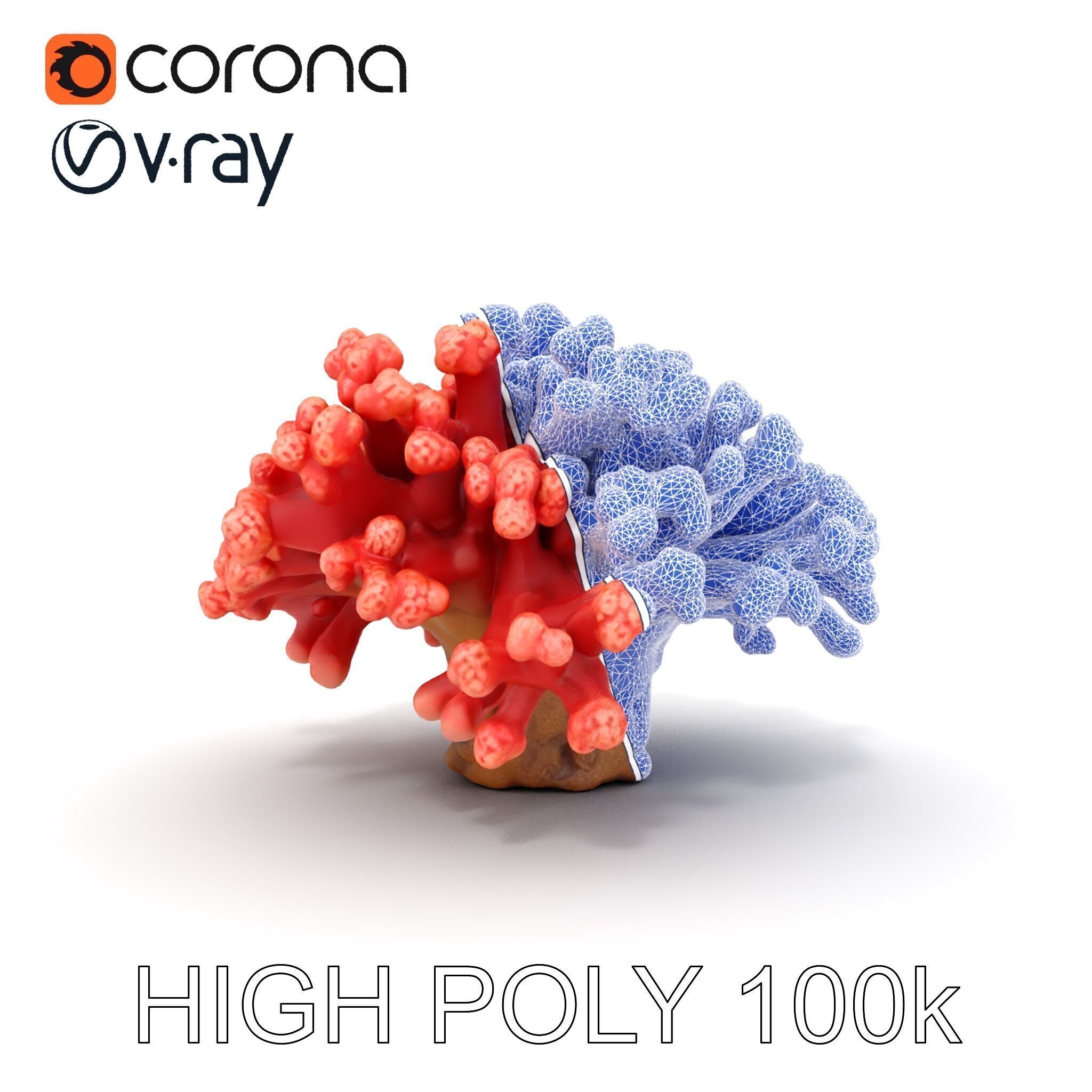 Coral Reef Model Pack with Detailed Textures for D Environments Low-poly 3D model_22