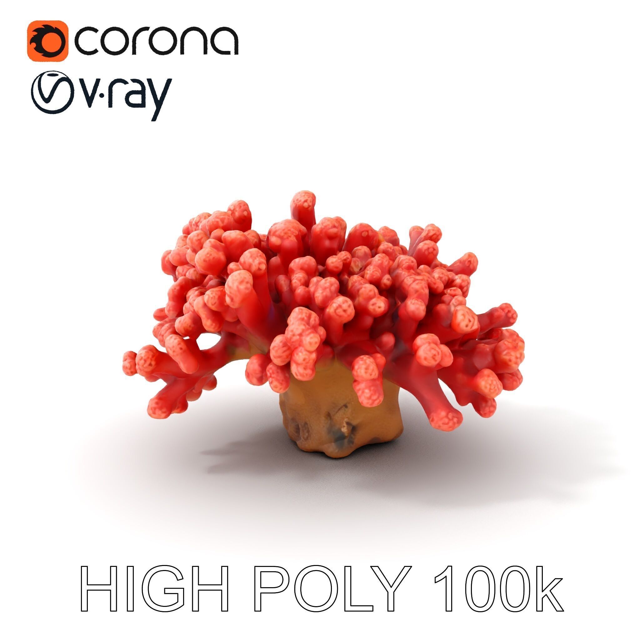Coral Reef Model Pack with Detailed Textures for D Environments Low-poly 3D model_8