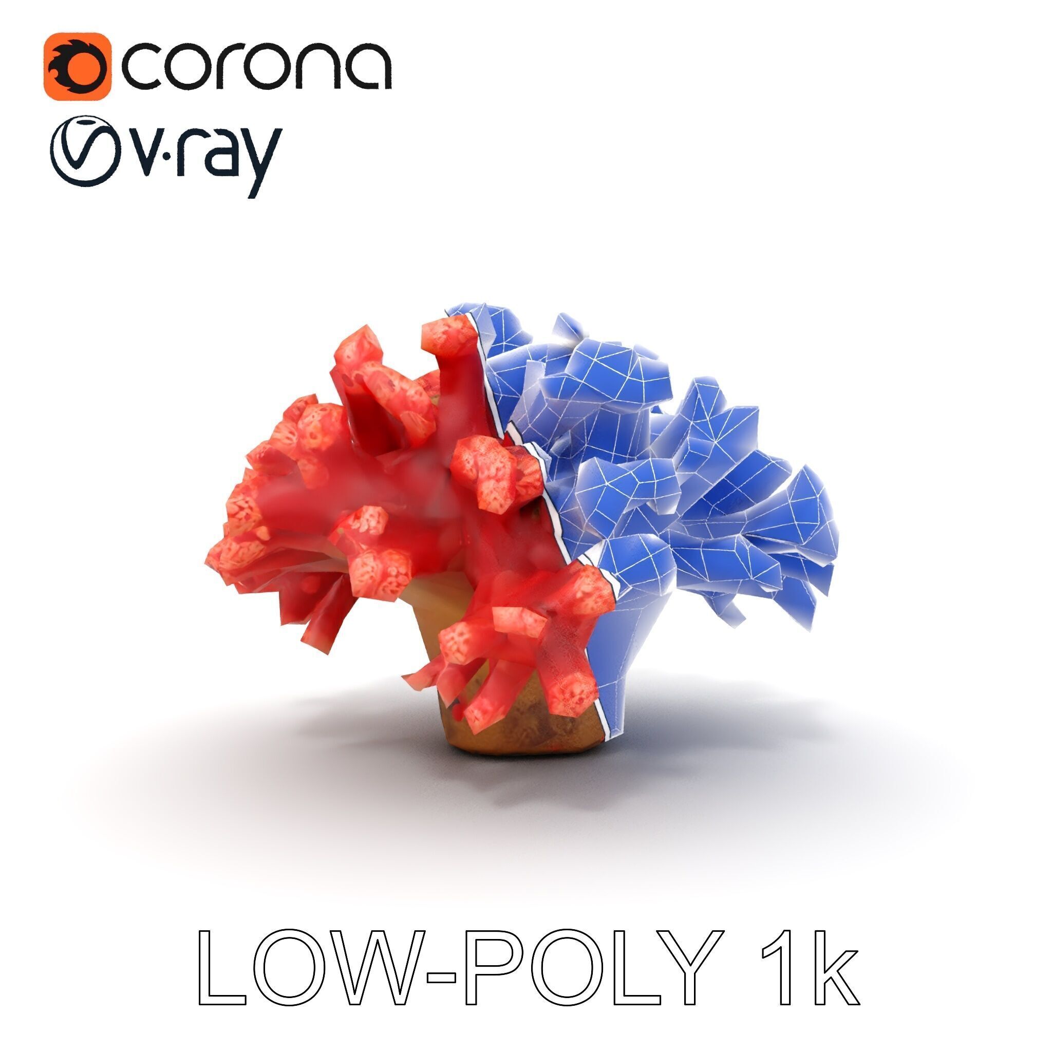Coral Reef Model Pack with Detailed Textures for D Environments Low-poly 3D model_31