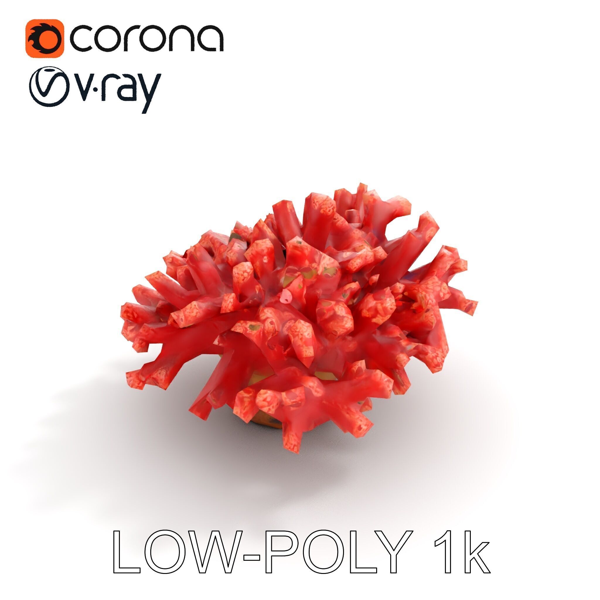 Coral Reef Model Pack with Detailed Textures for D Environments Low-poly 3D model_7