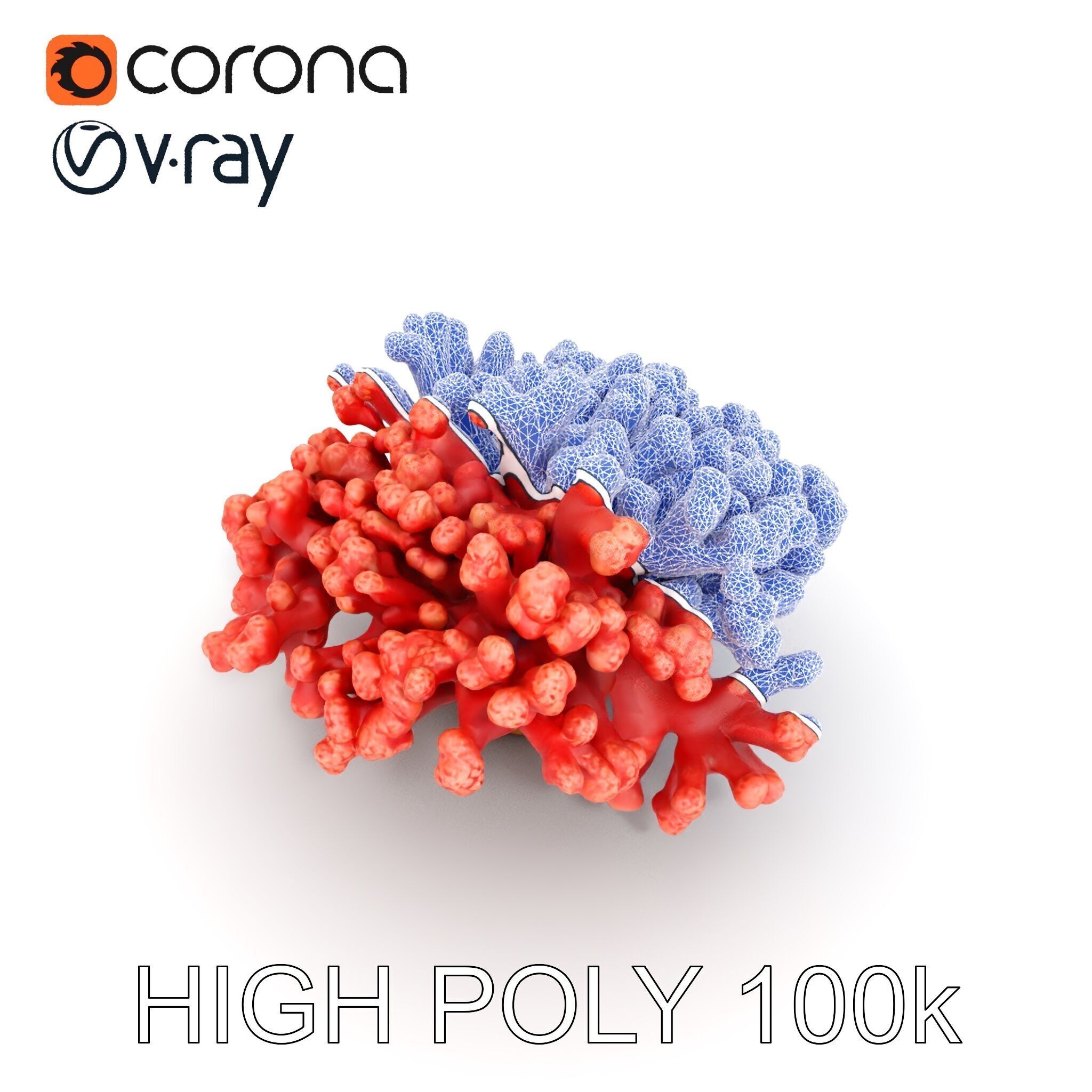 Coral Reef Model Pack with Detailed Textures for D Environments Low-poly 3D model_19