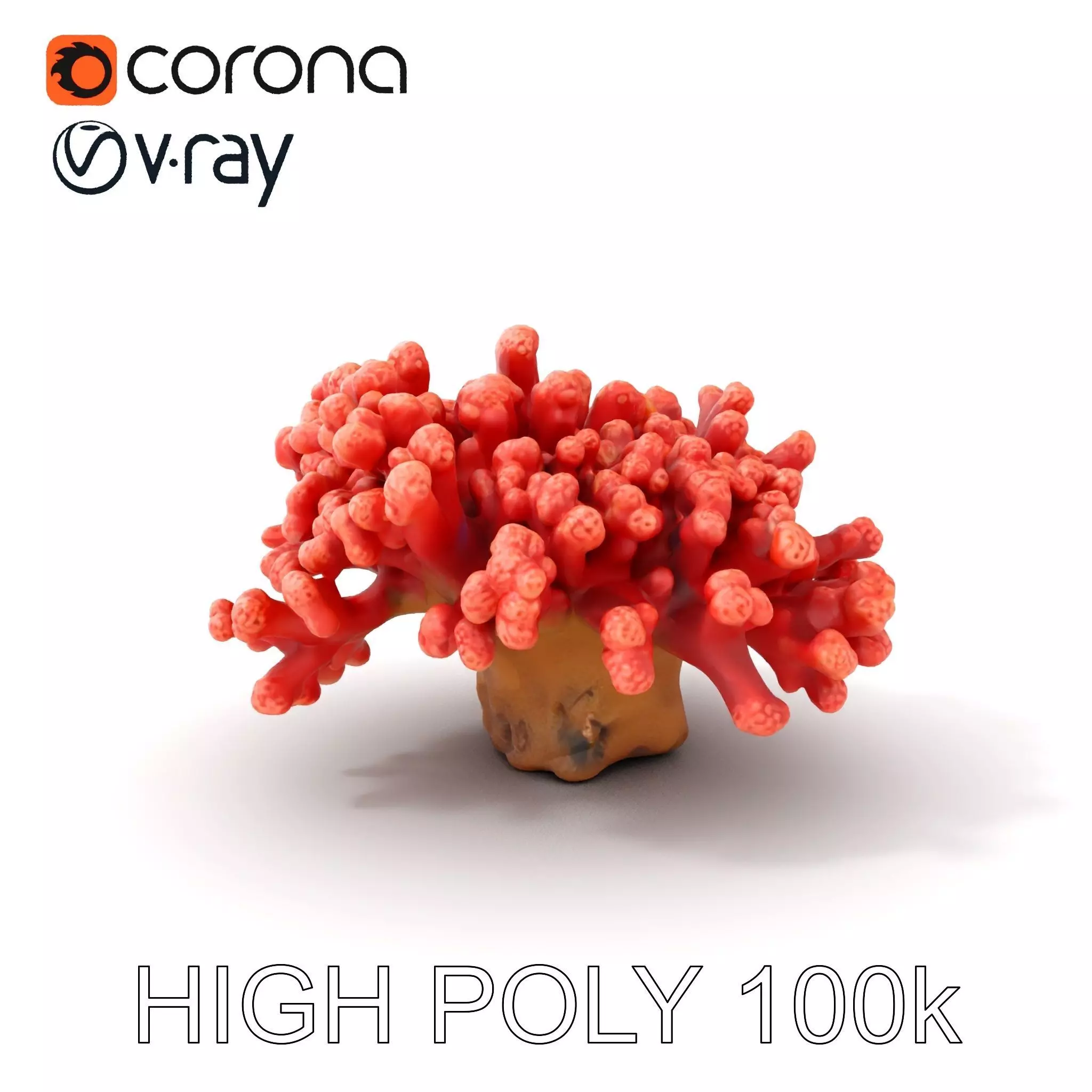 Coral Reef Model Pack with Detailed Textures for D Environments Low-poly 3D model_0
