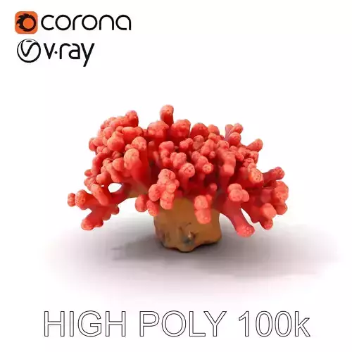 Coral Reef Model Pack with Detailed Textures for D Environments Low-poly 3D model