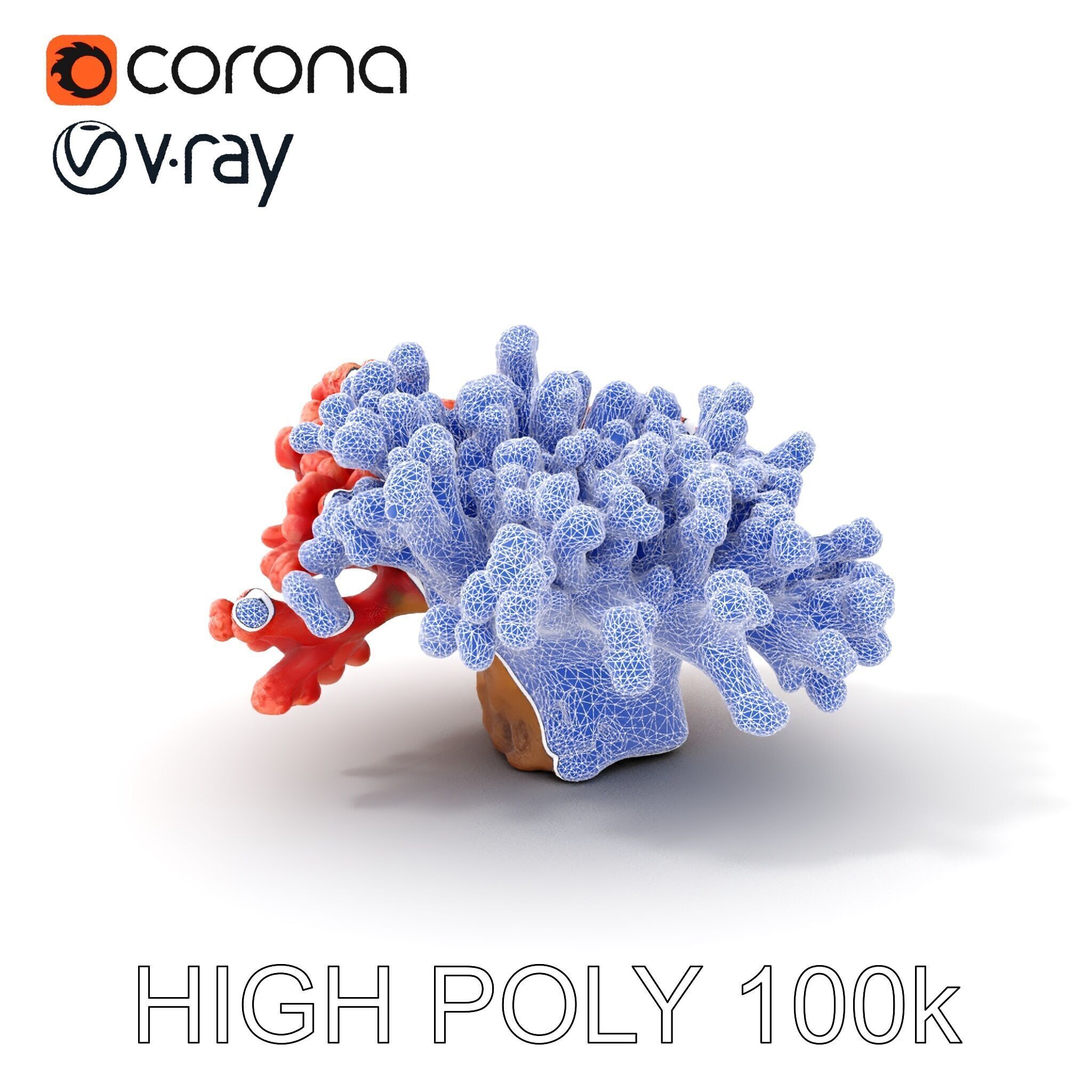 Coral Reef Model Pack with Detailed Textures for D Environments Low-poly 3D model_4