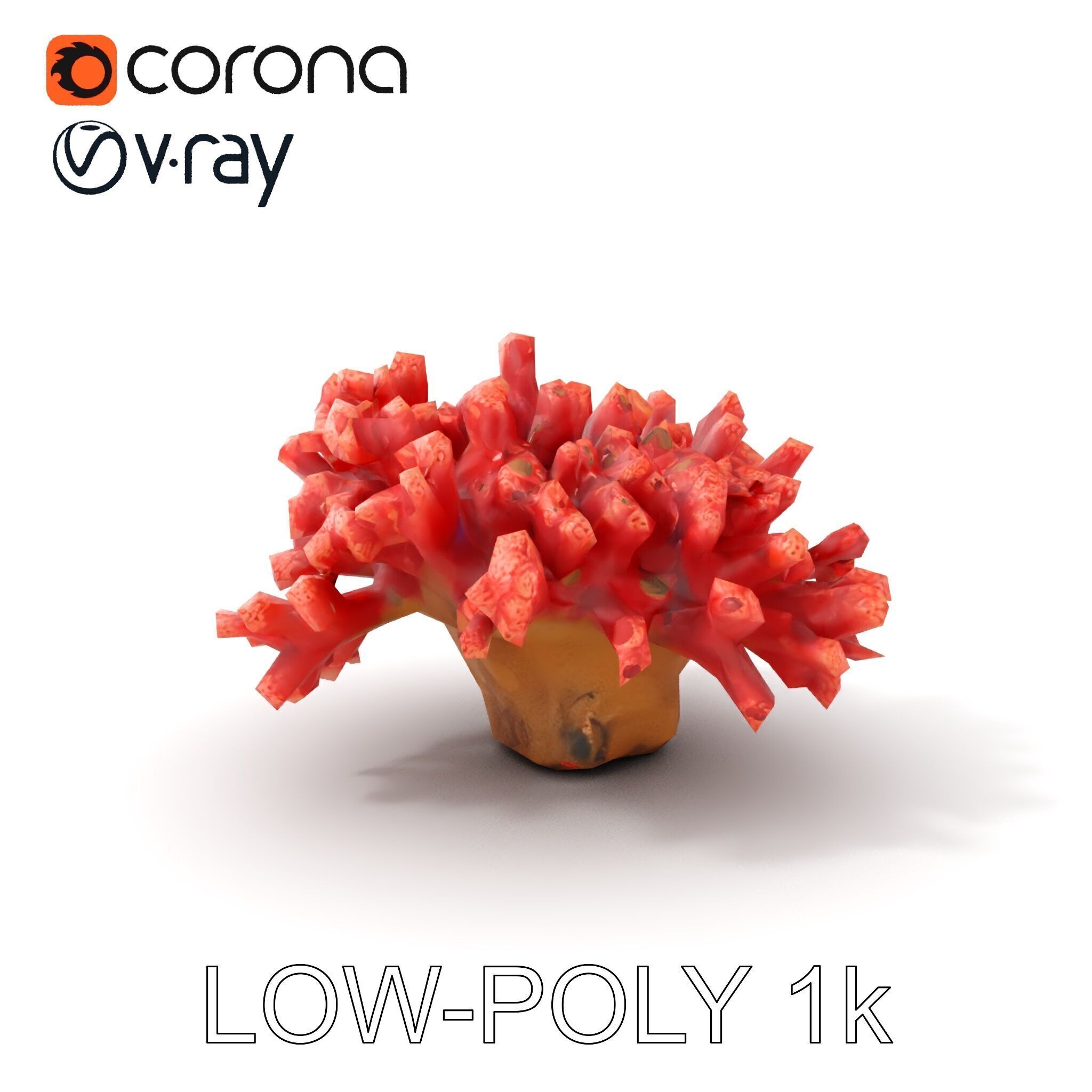 Coral Reef Model Pack with Detailed Textures for D Environments Low-poly 3D model_12