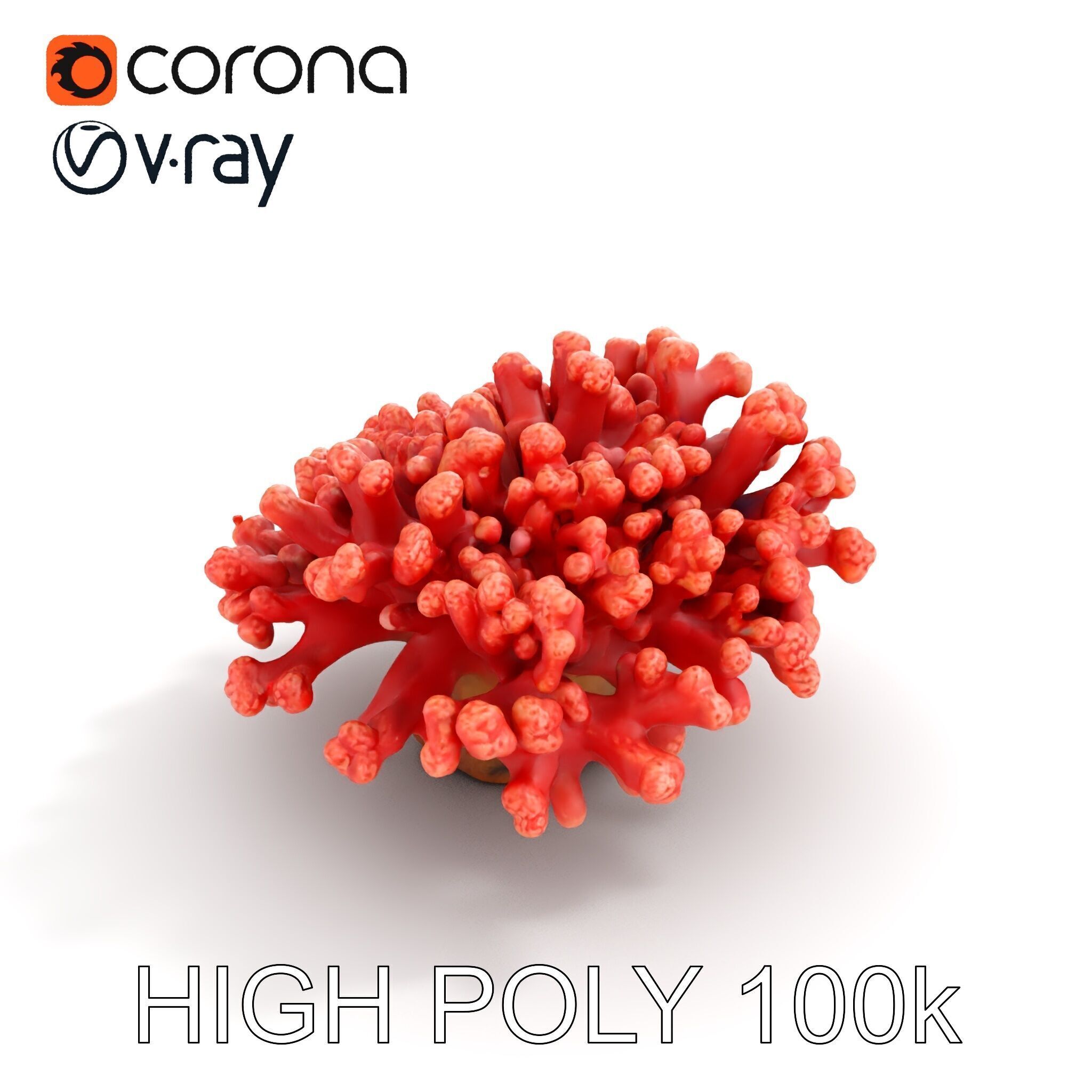 Coral Reef Model Pack with Detailed Textures for D Environments Low-poly 3D model_6