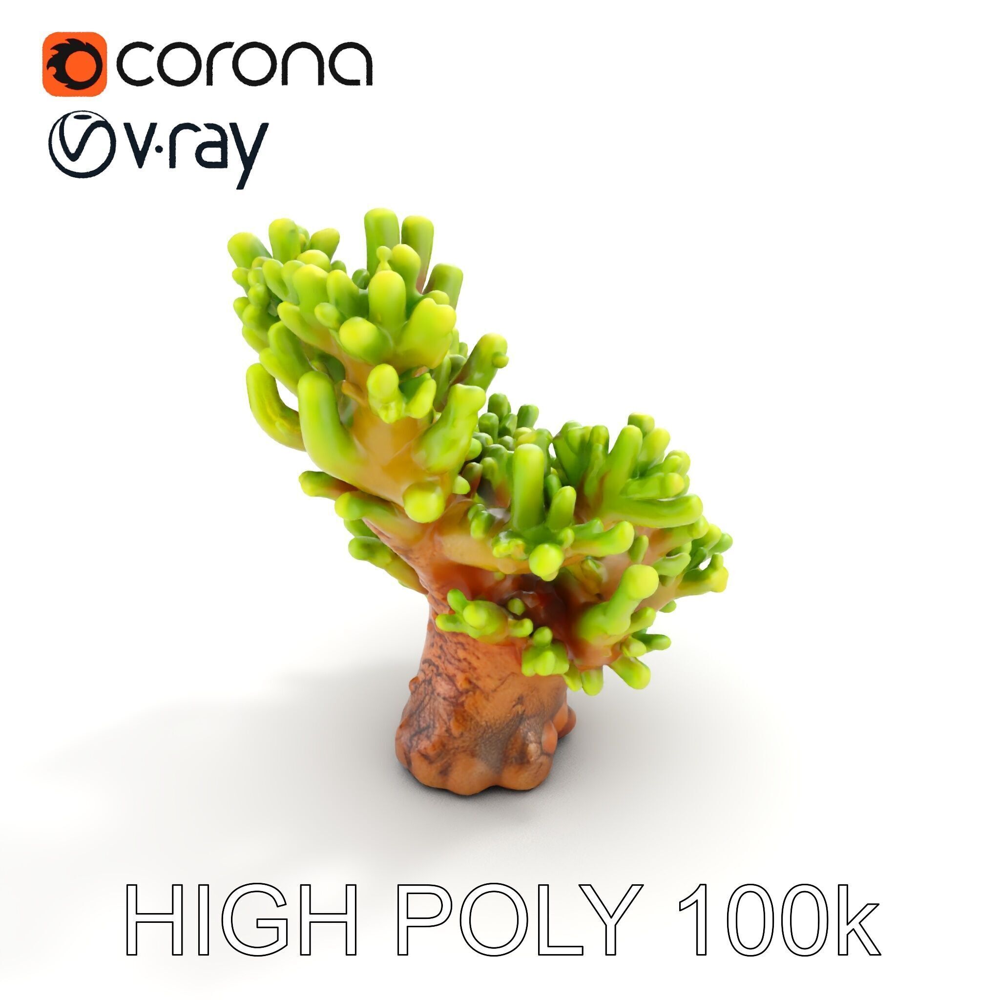Vibrant Coral Model Pack for Aquatic Environments Low-poly 3D model_19