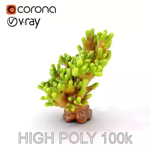 Vibrant Coral Model Pack for Aquatic Environments Low-poly 3D model
