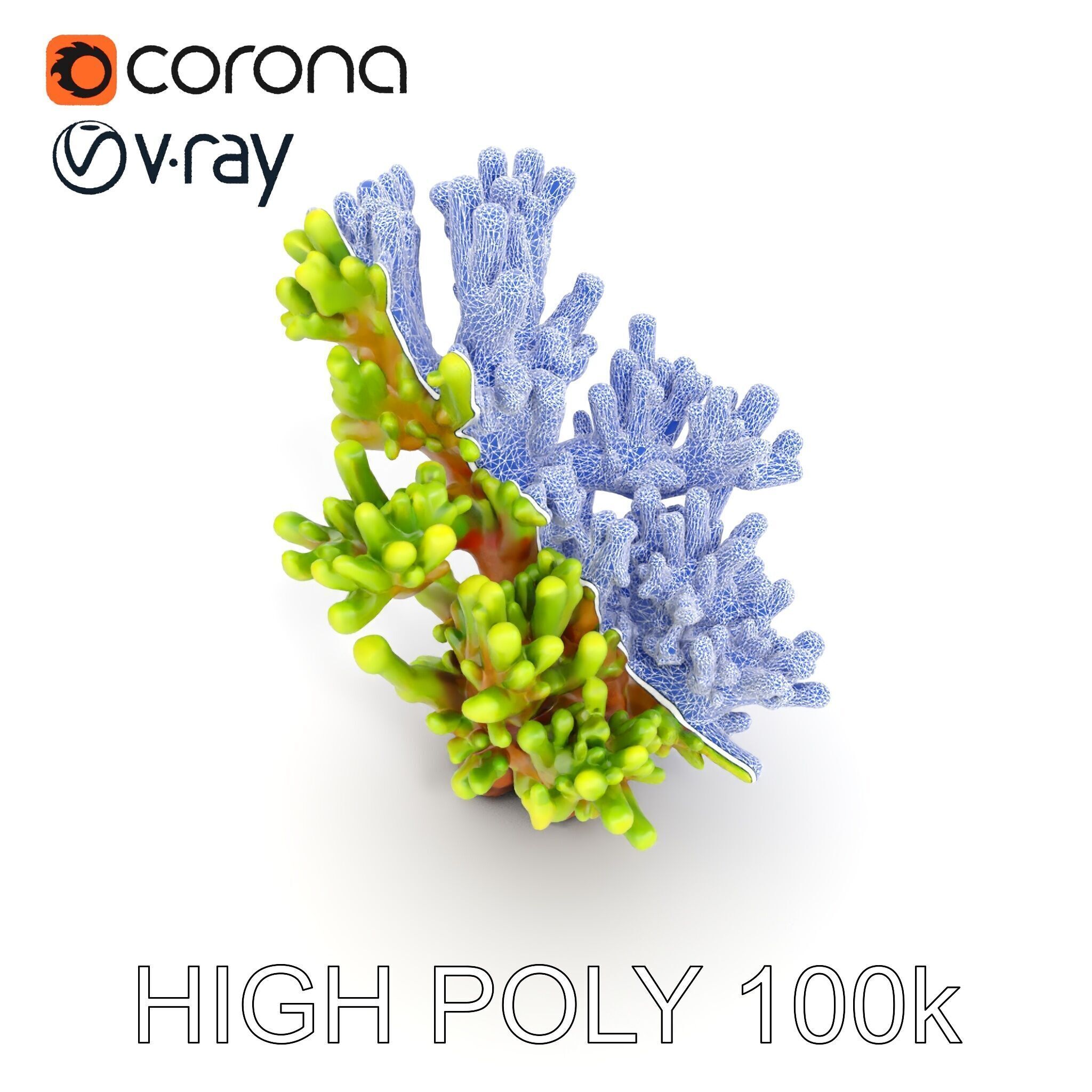 Vibrant Coral Model Pack for Aquatic Environments Low-poly 3D model_28