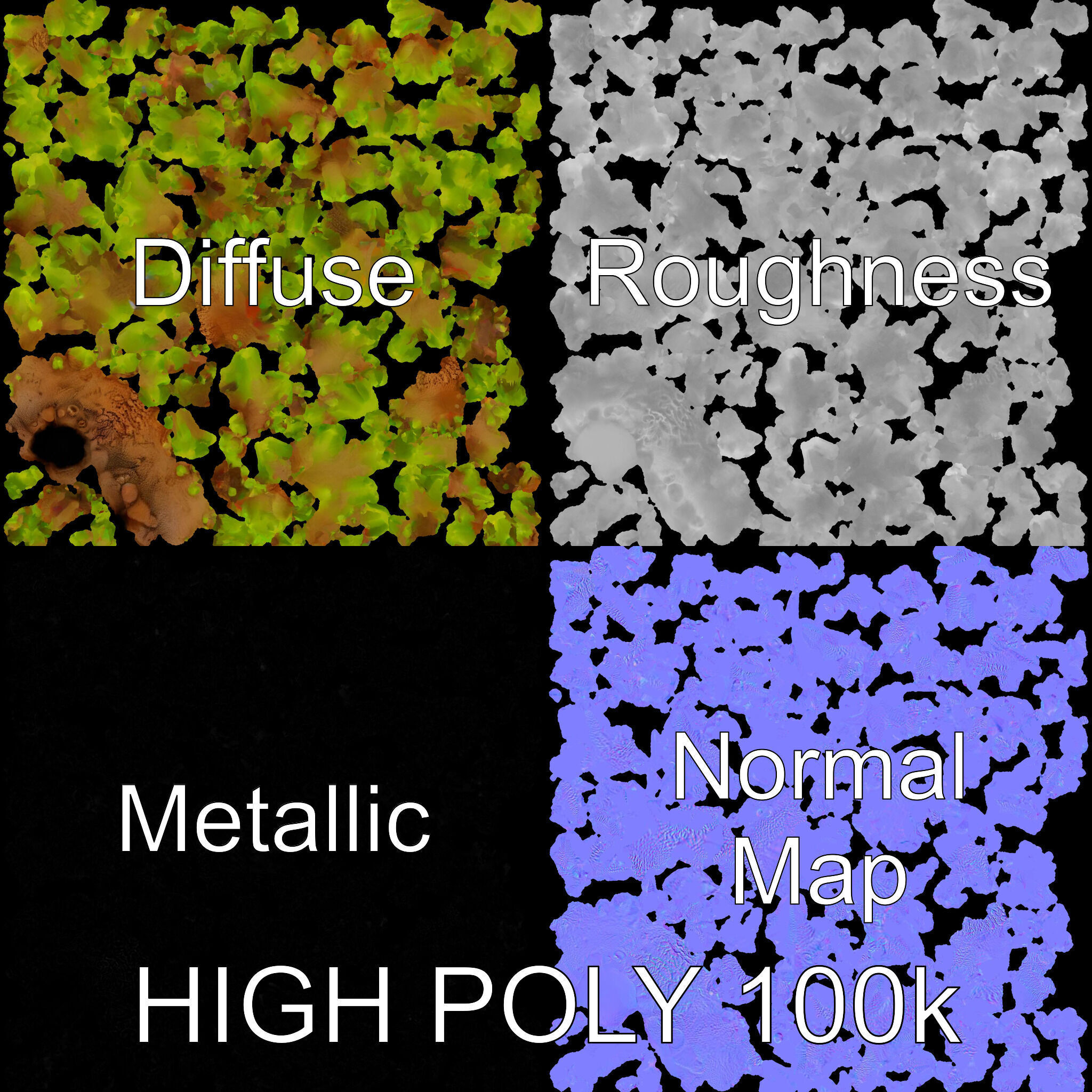 Vibrant Coral Model Pack for Aquatic Environments Low-poly 3D model_3