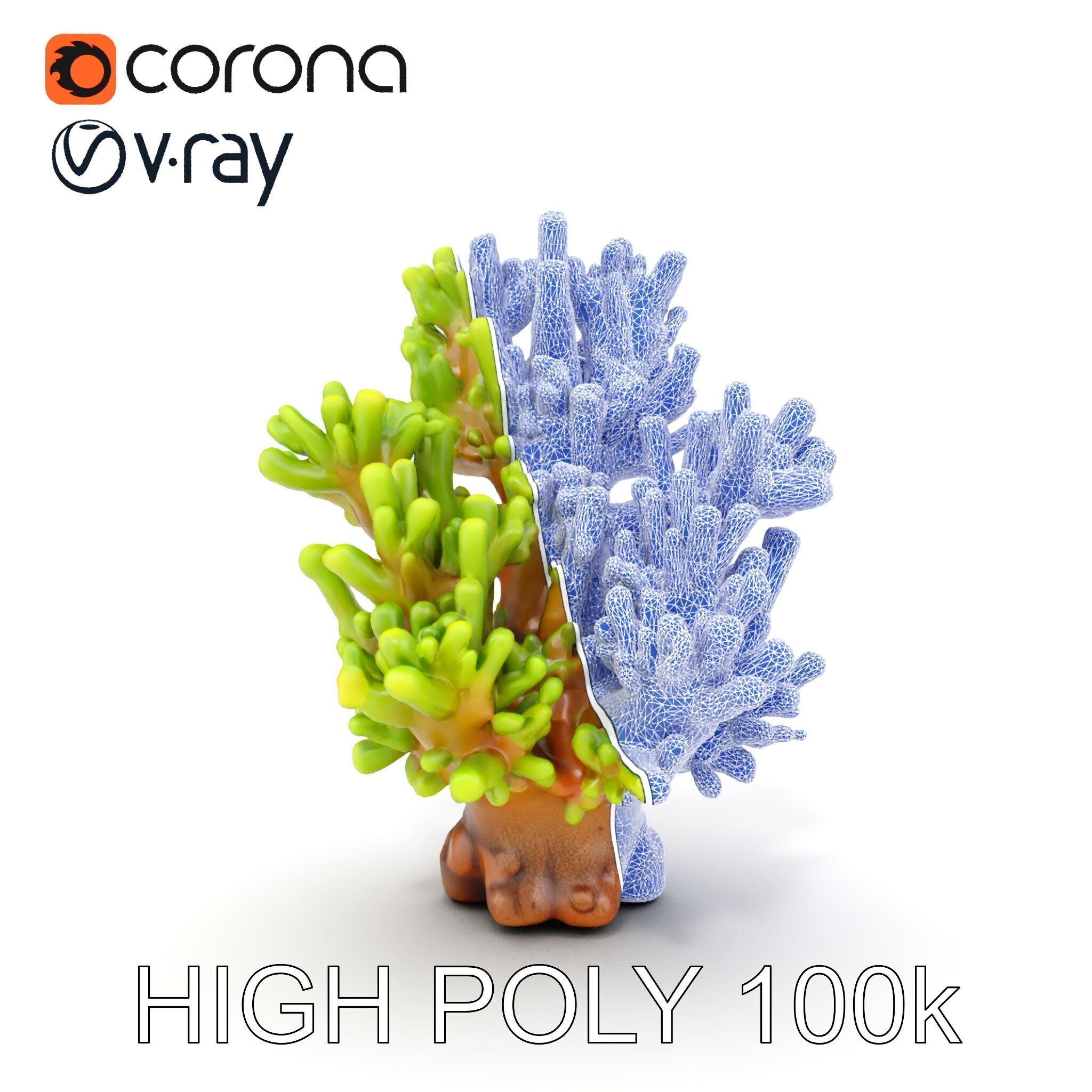 Vibrant Coral Model Pack for Aquatic Environments Low-poly 3D model_31