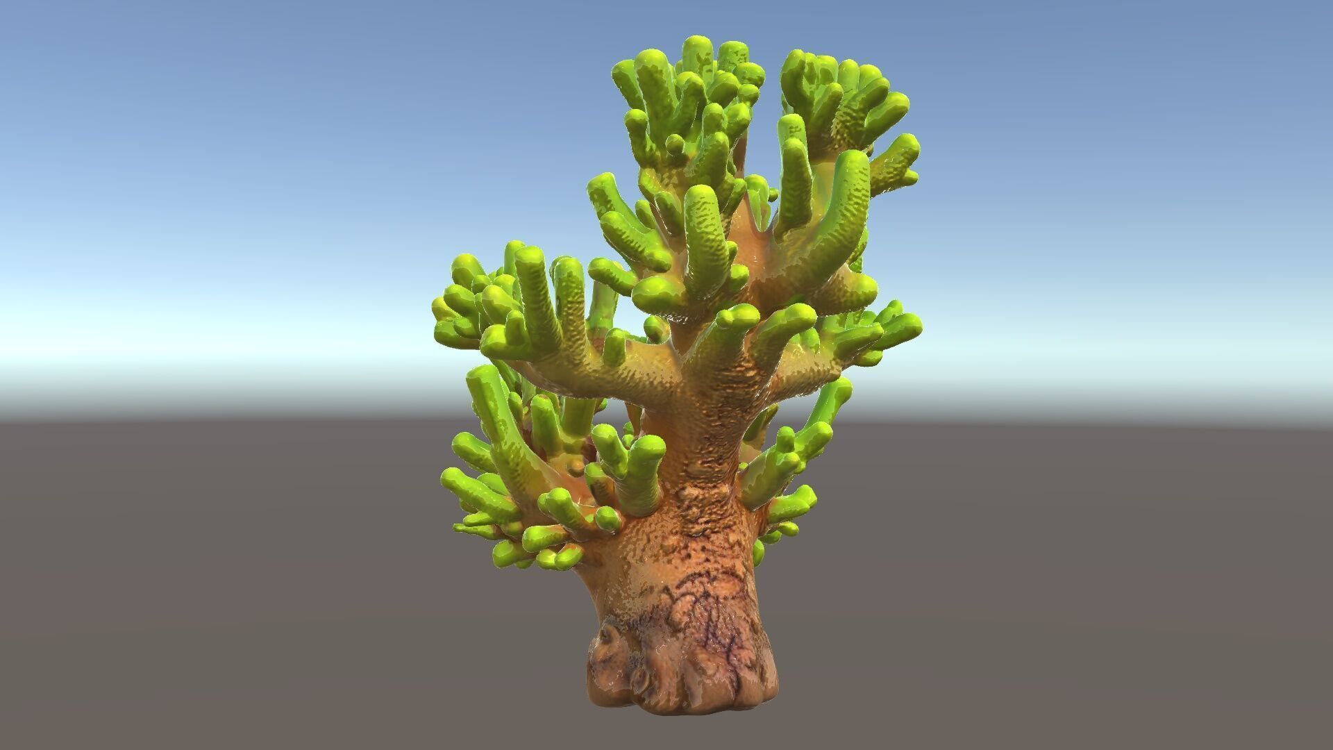 Vibrant Coral Model Pack for Aquatic Environments Low-poly 3D model_34