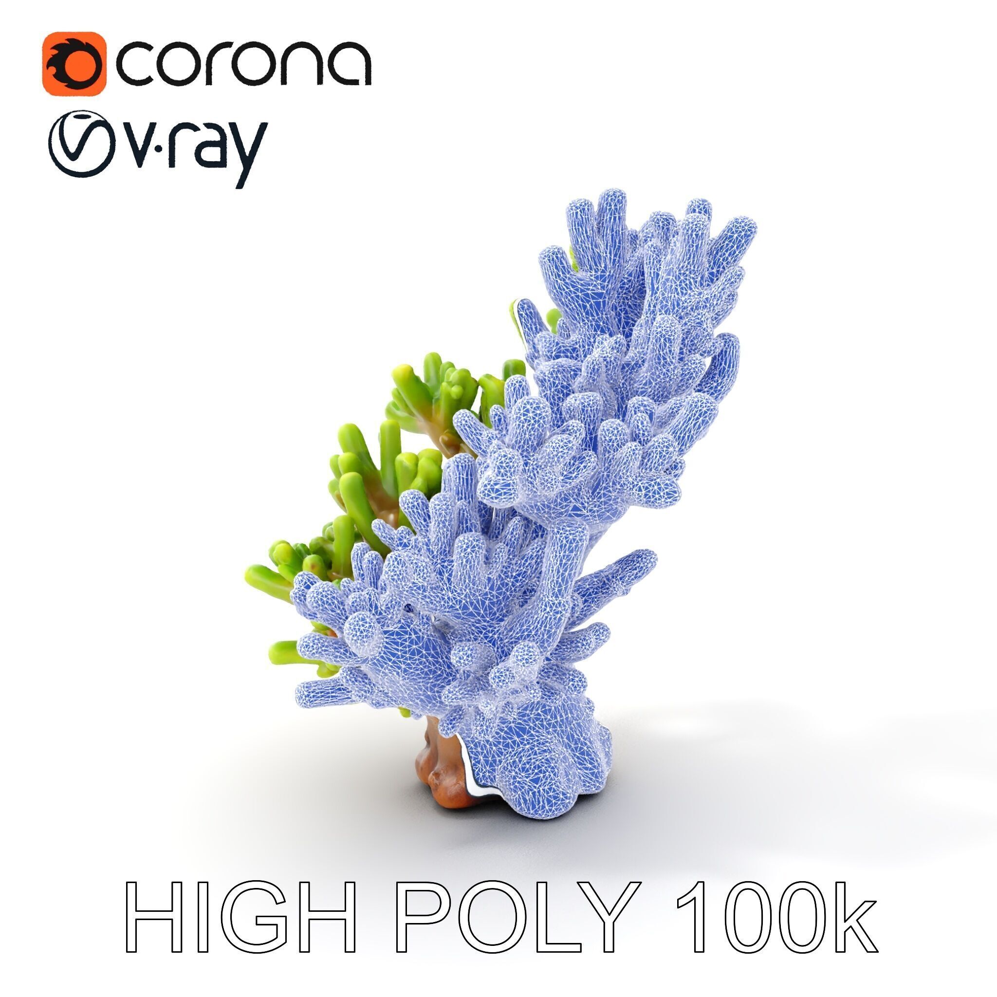 Vibrant Coral Model Pack for Aquatic Environments Low-poly 3D model_22
