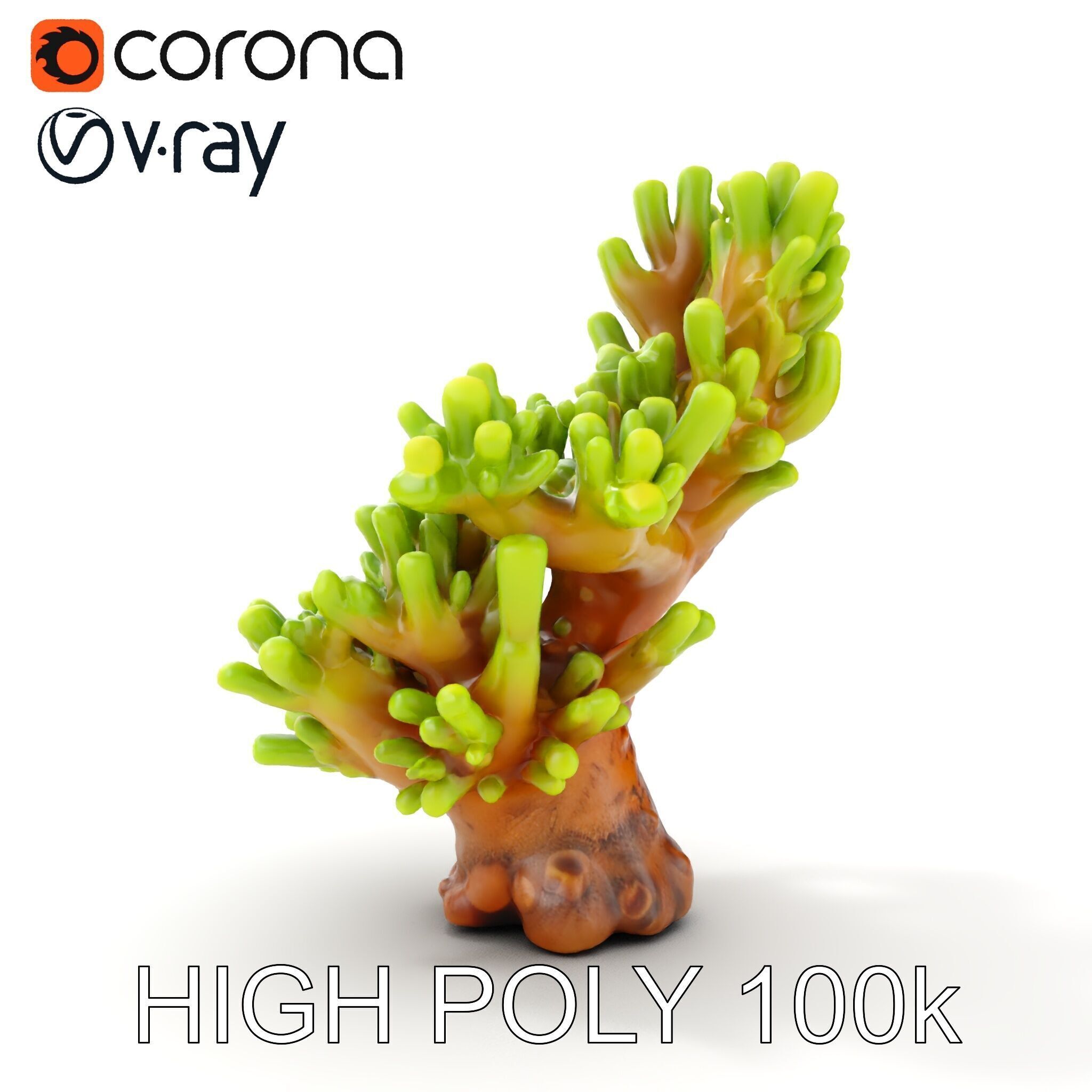 Vibrant Coral Model Pack for Aquatic Environments Low-poly 3D model_20