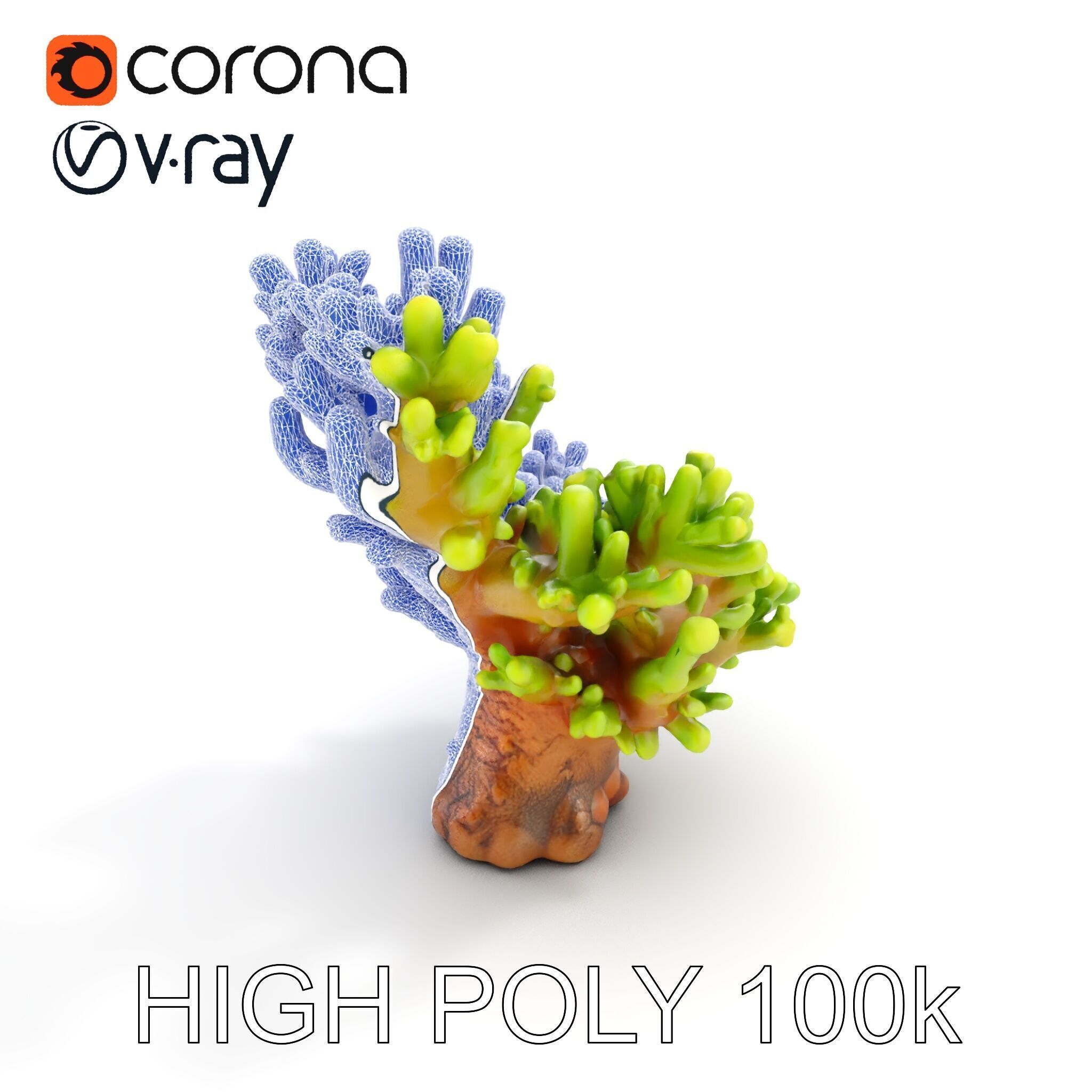 Vibrant Coral Model Pack for Aquatic Environments Low-poly 3D model_21