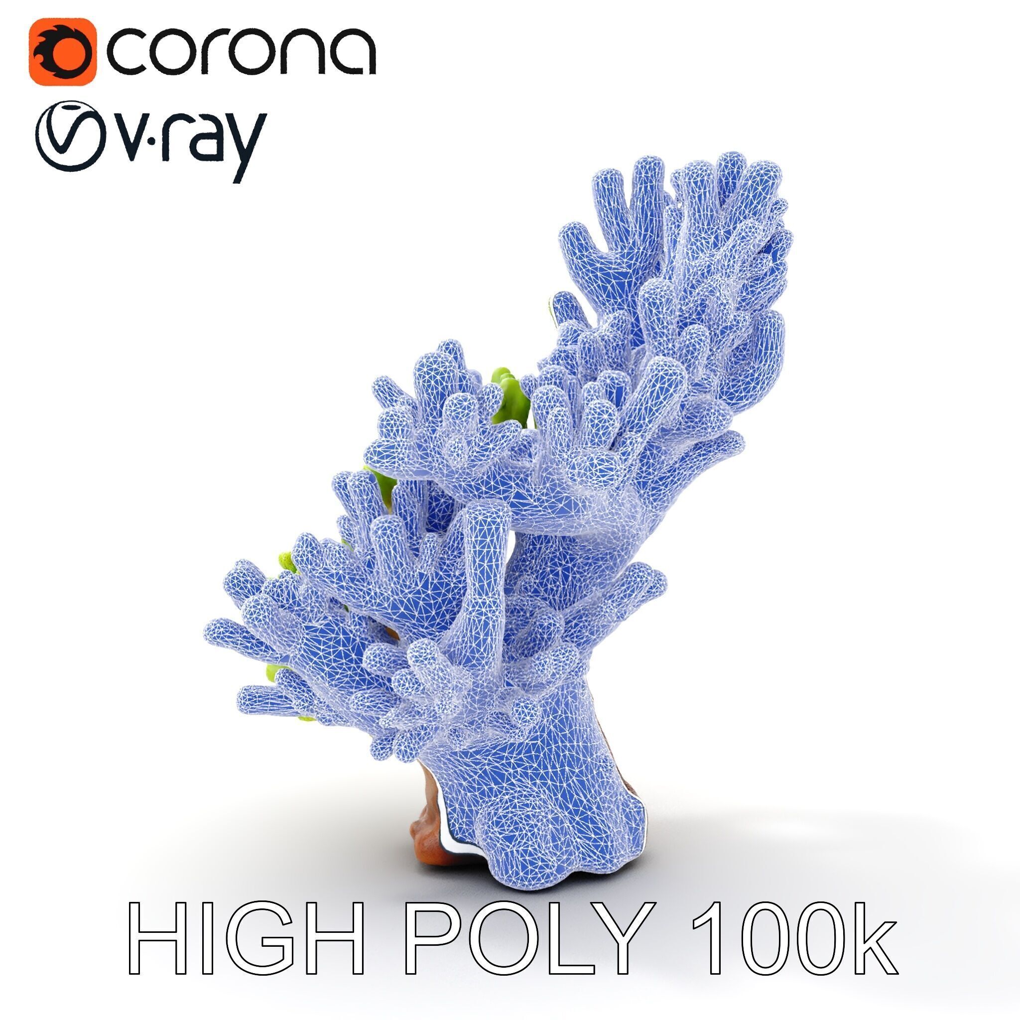 Vibrant Coral Model Pack for Aquatic Environments Low-poly 3D model_29