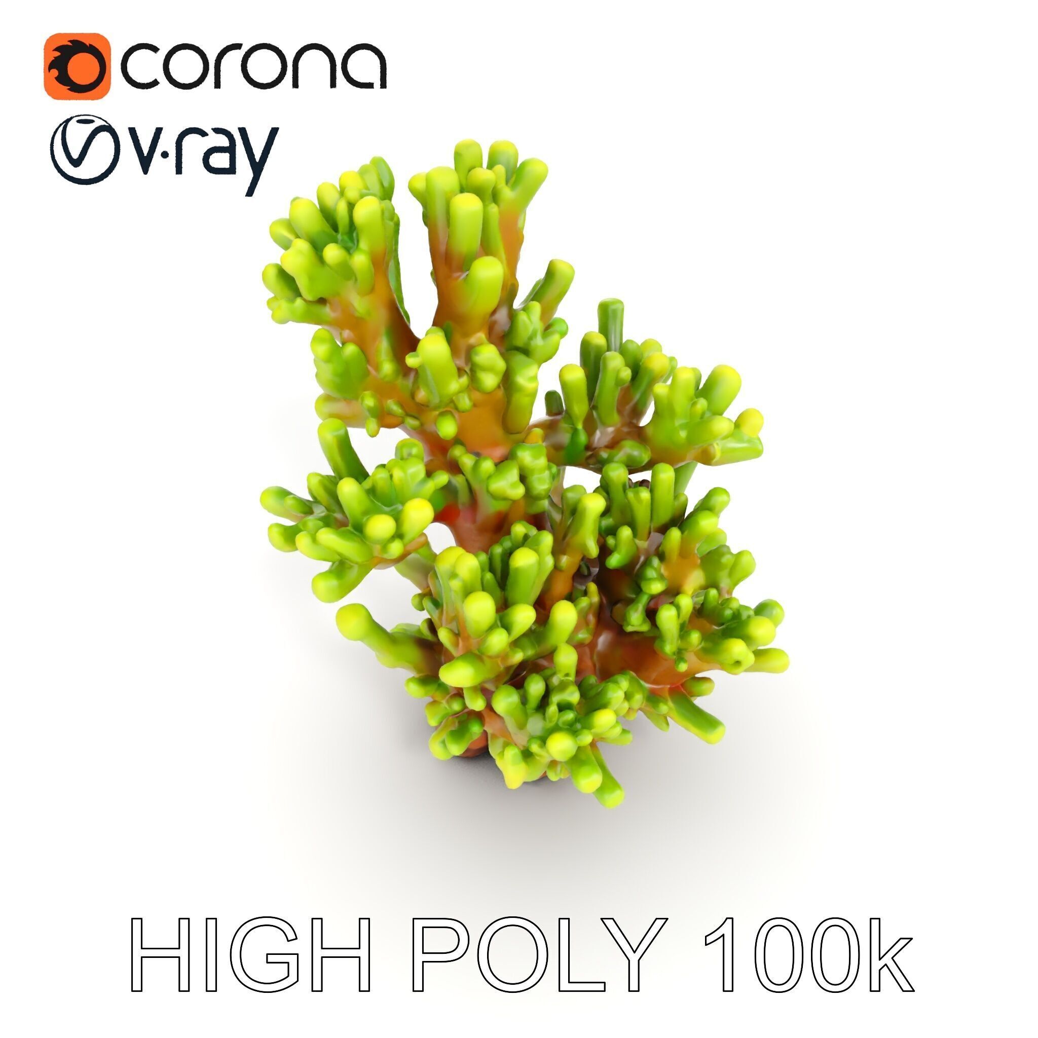 Vibrant Coral Model Pack for Aquatic Environments Low-poly 3D model_11